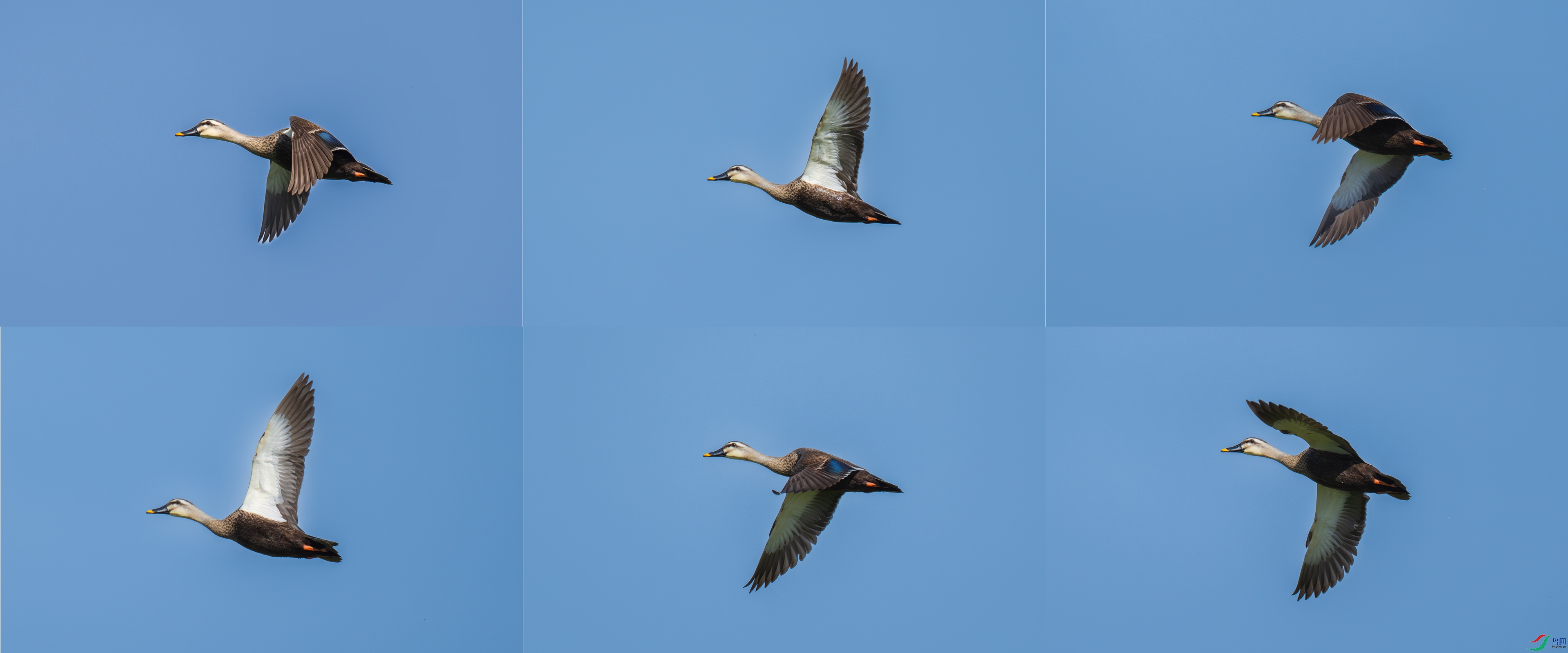 DSC_1543.jpg