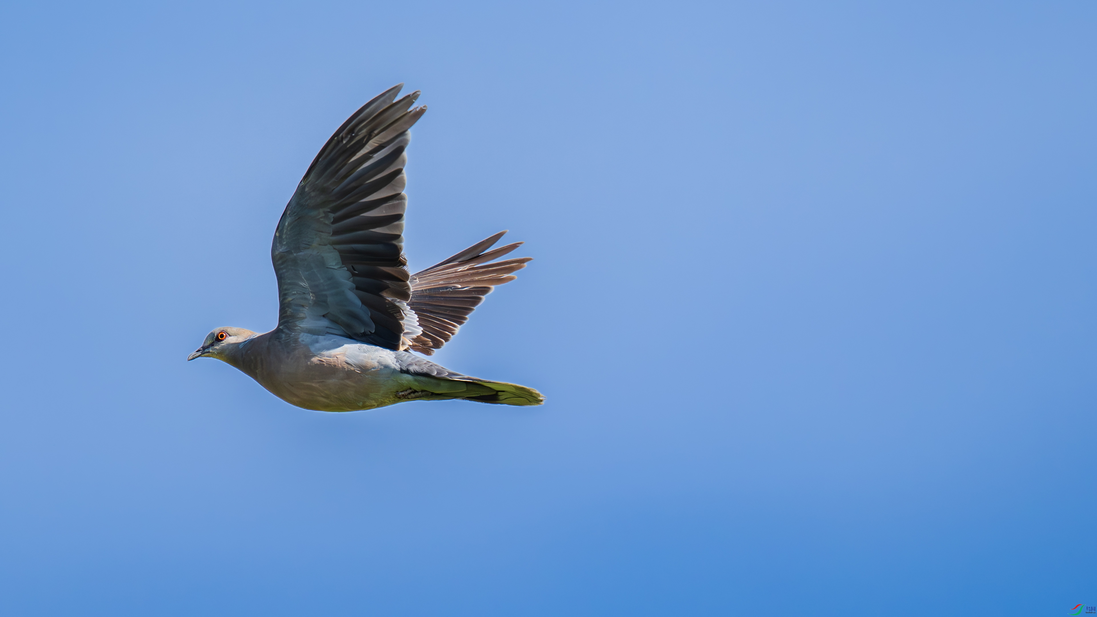 DSC_1519.jpg