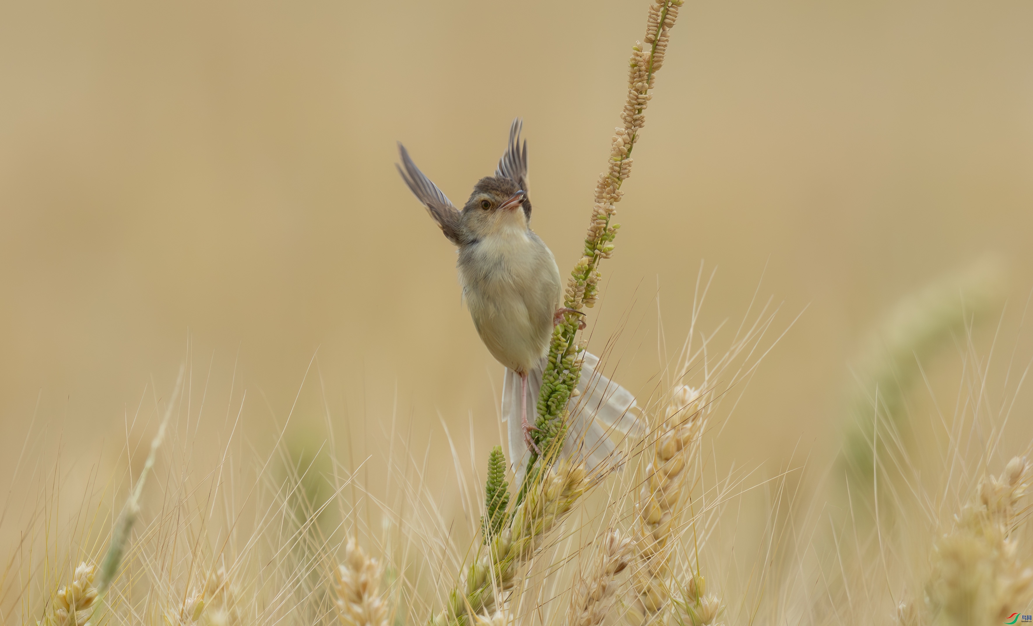 DSC_4946.jpg