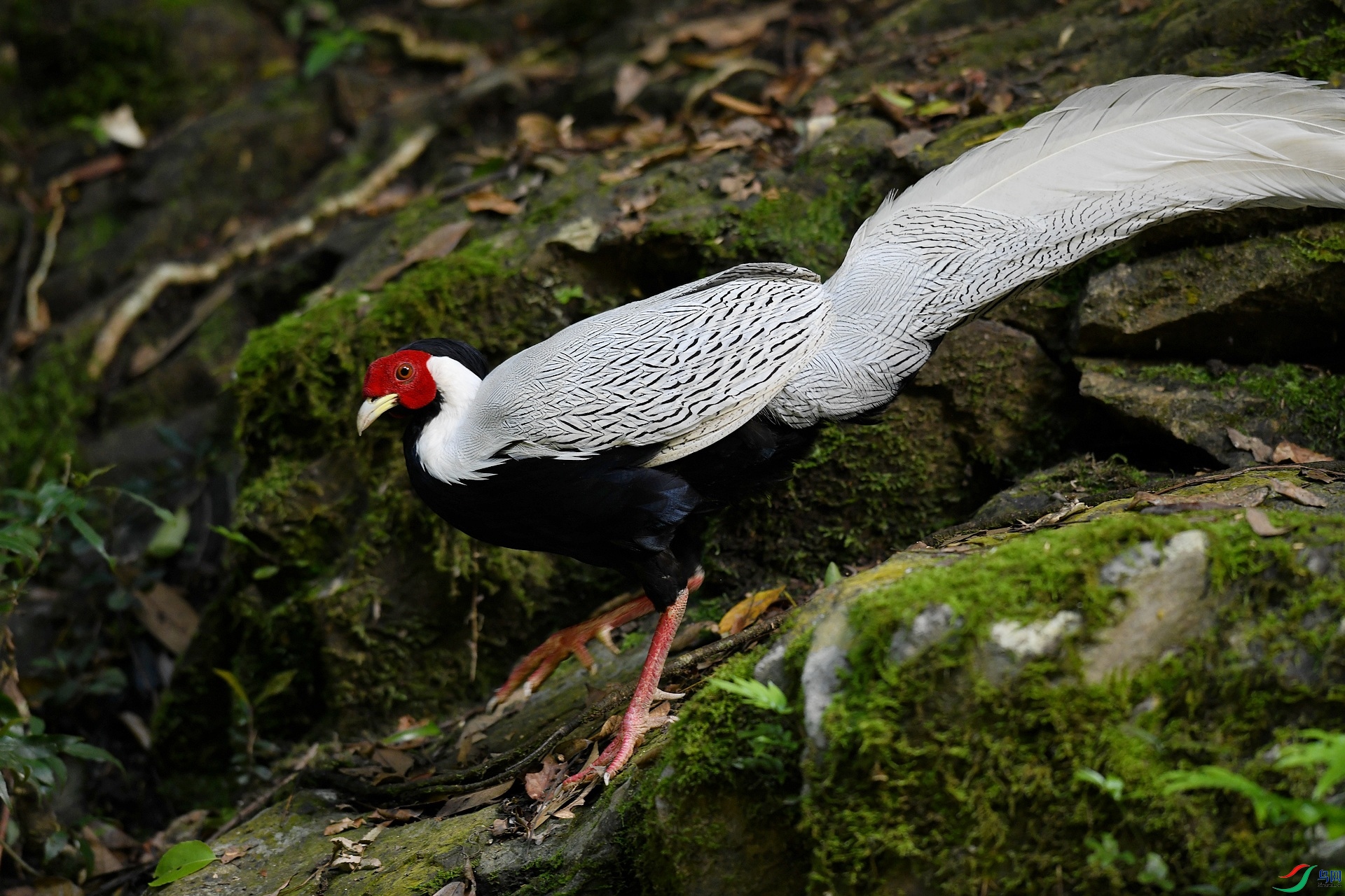 DSC_2902.jpg