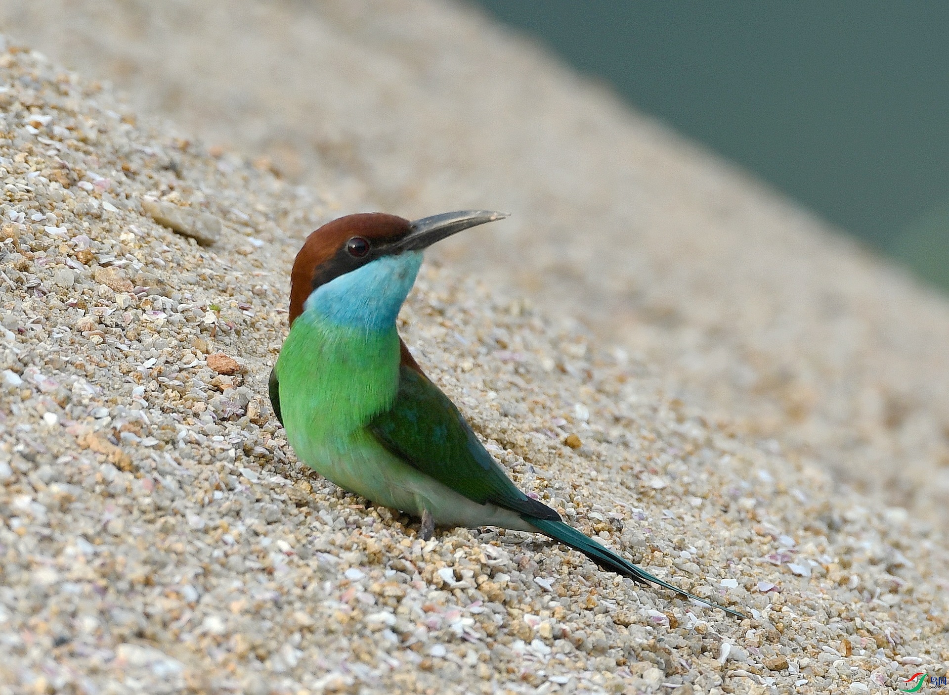 DSC_3215.jpg