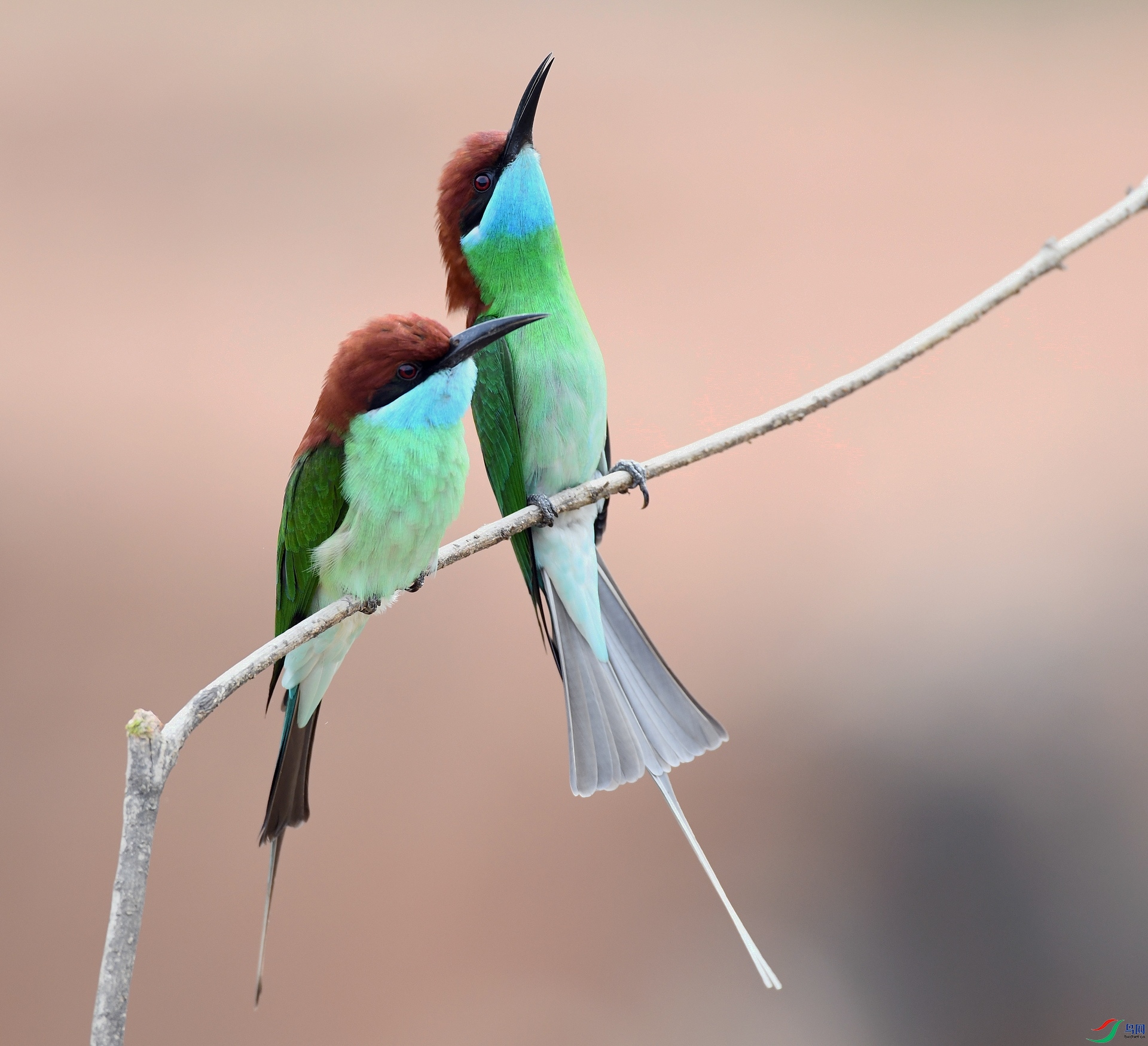 DSC_0626.jpg