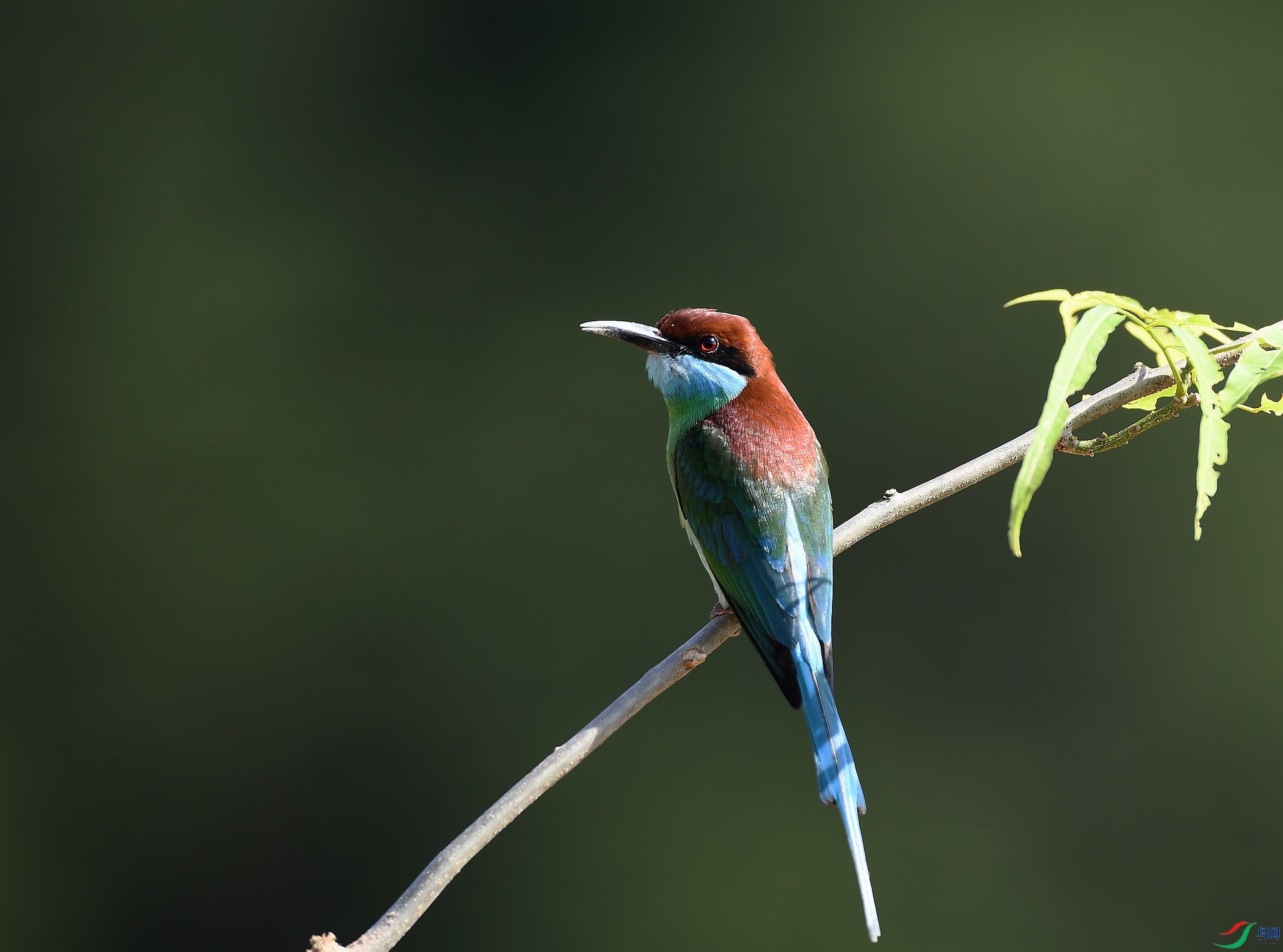DSC_3855.jpg