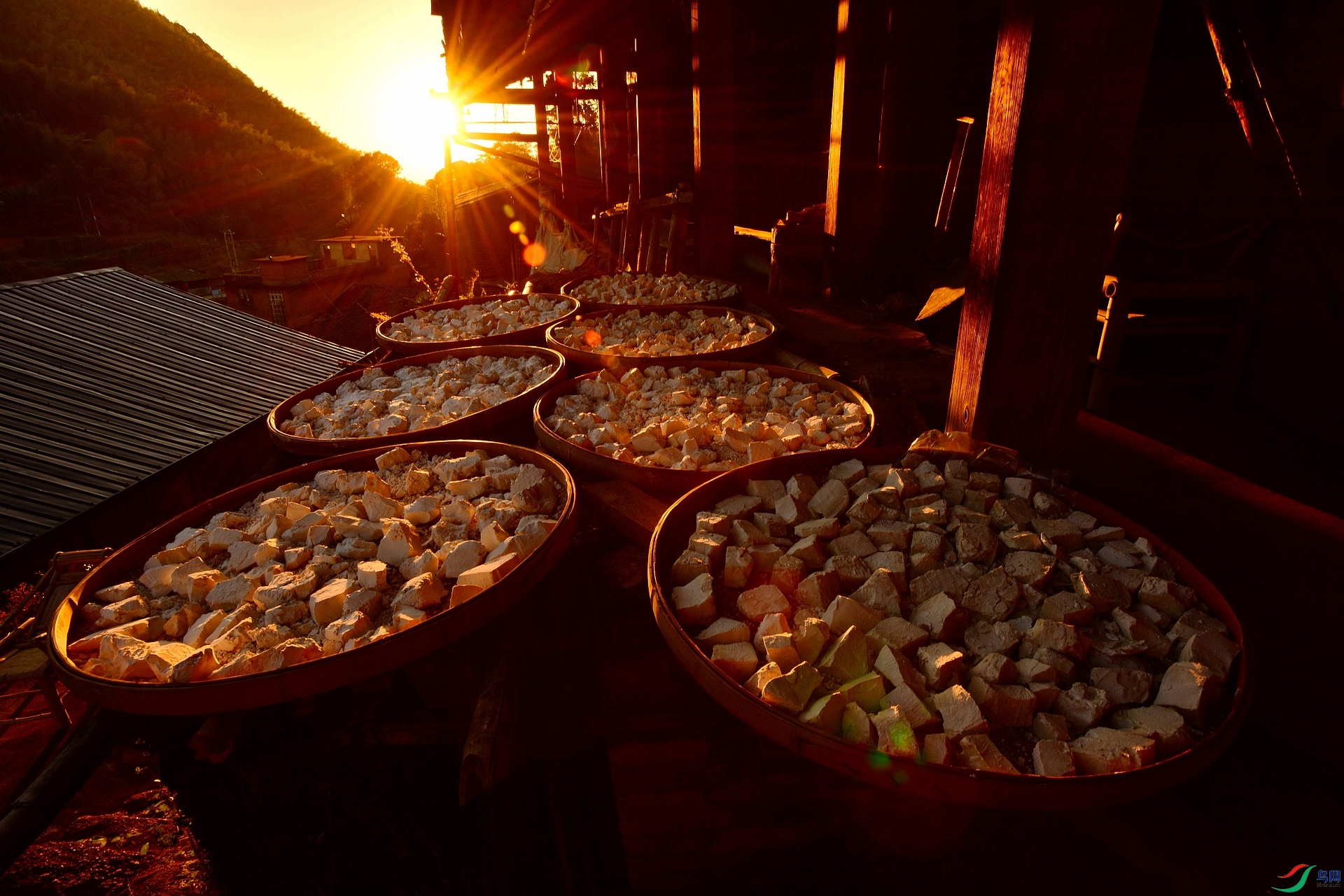 D8I_0850.jpg
