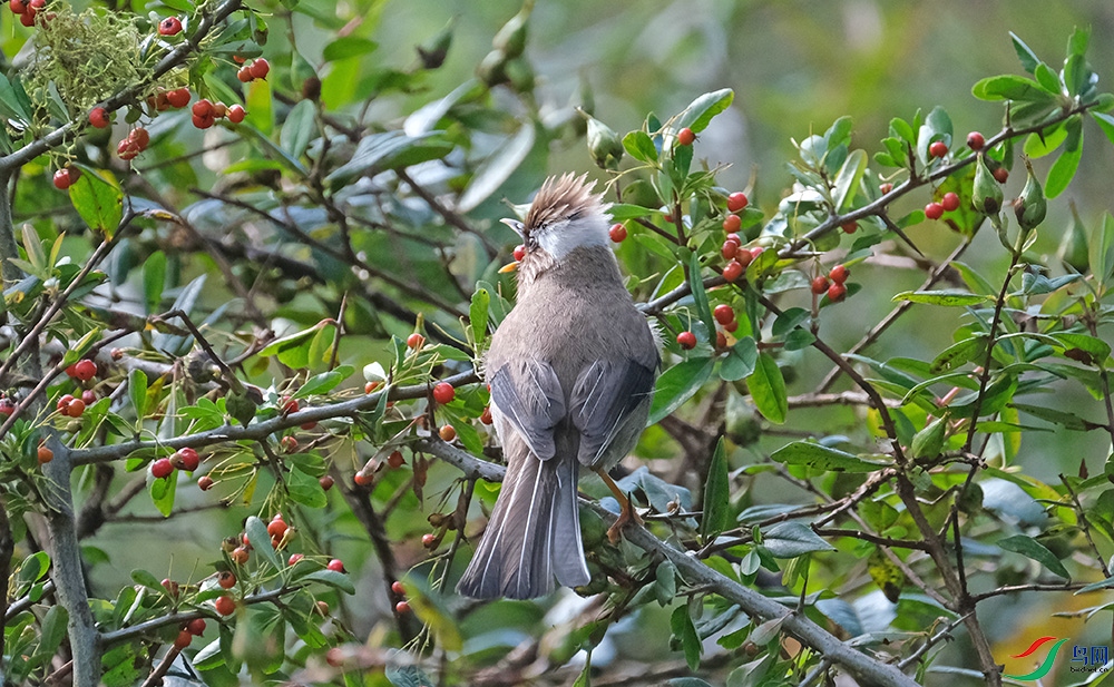 DSCF6267.1.jpg