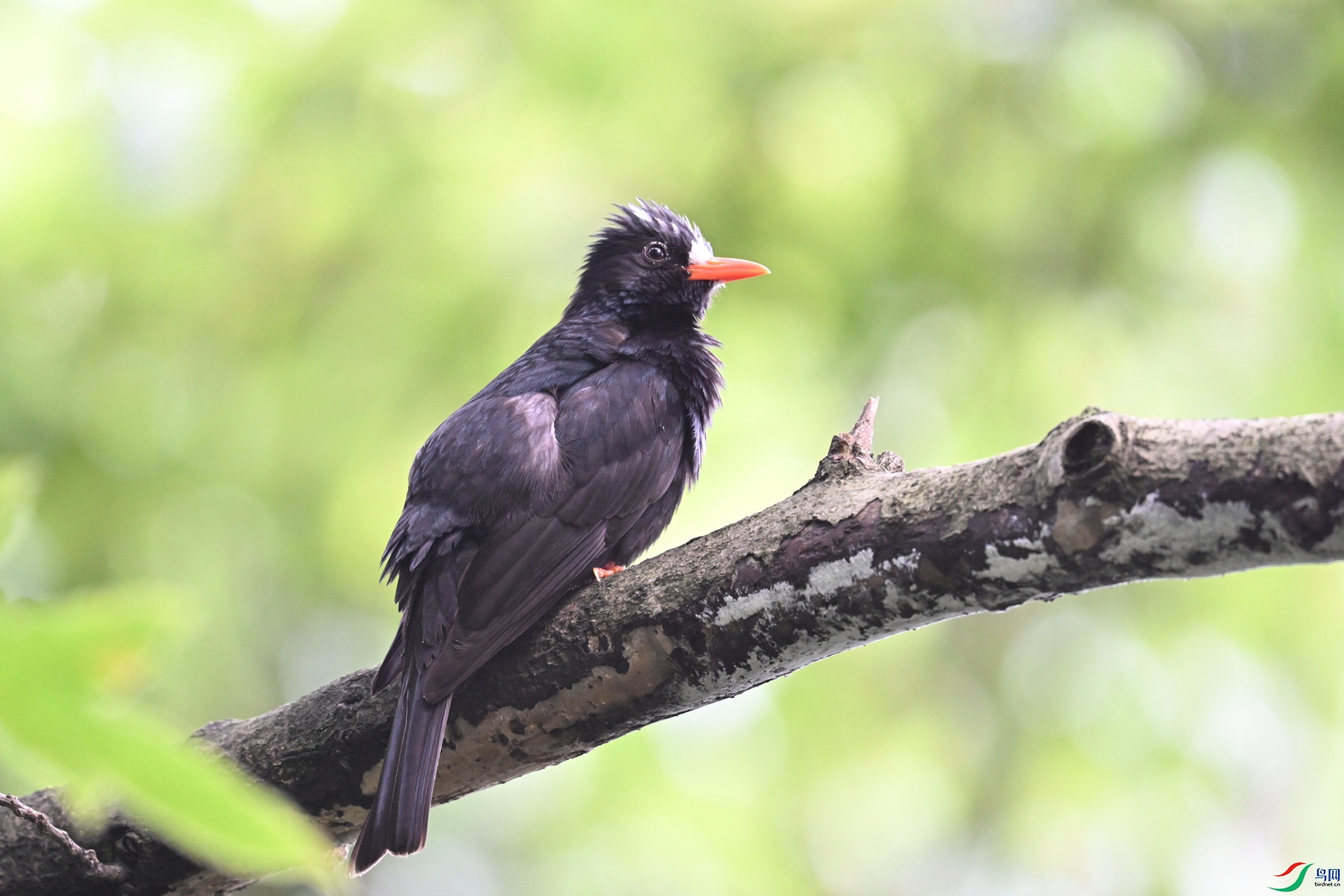 DSC_3836.JPG