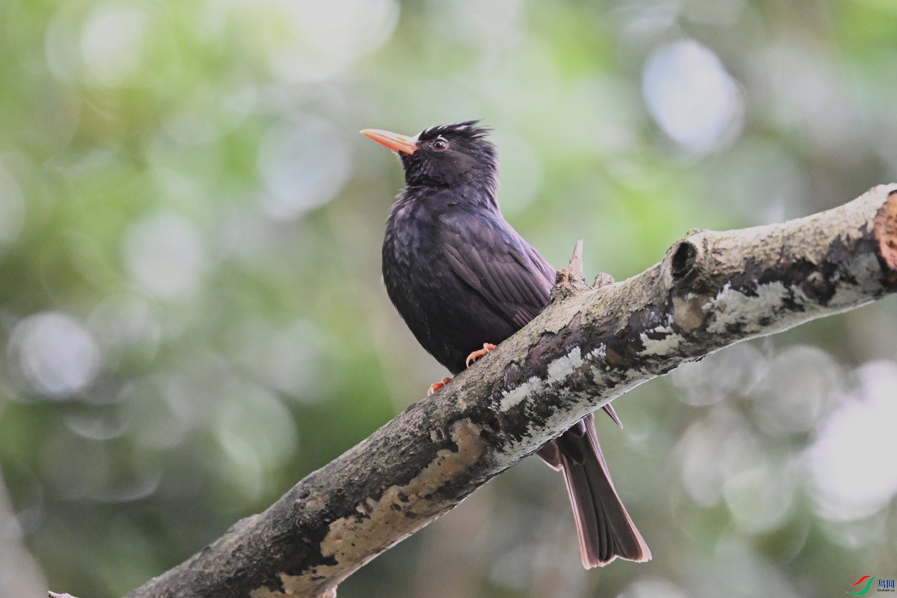 DSC_3837.JPG
