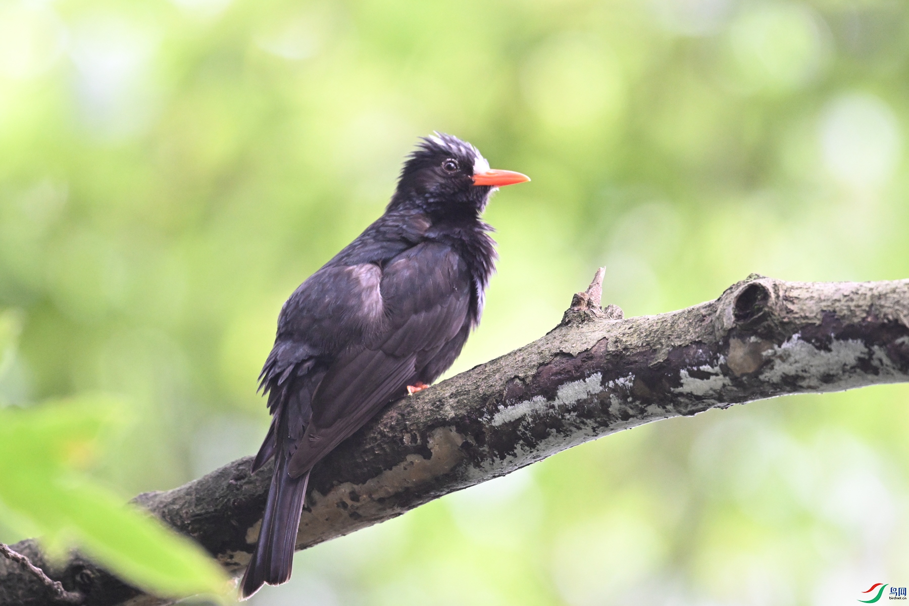 DSC_3834.JPG