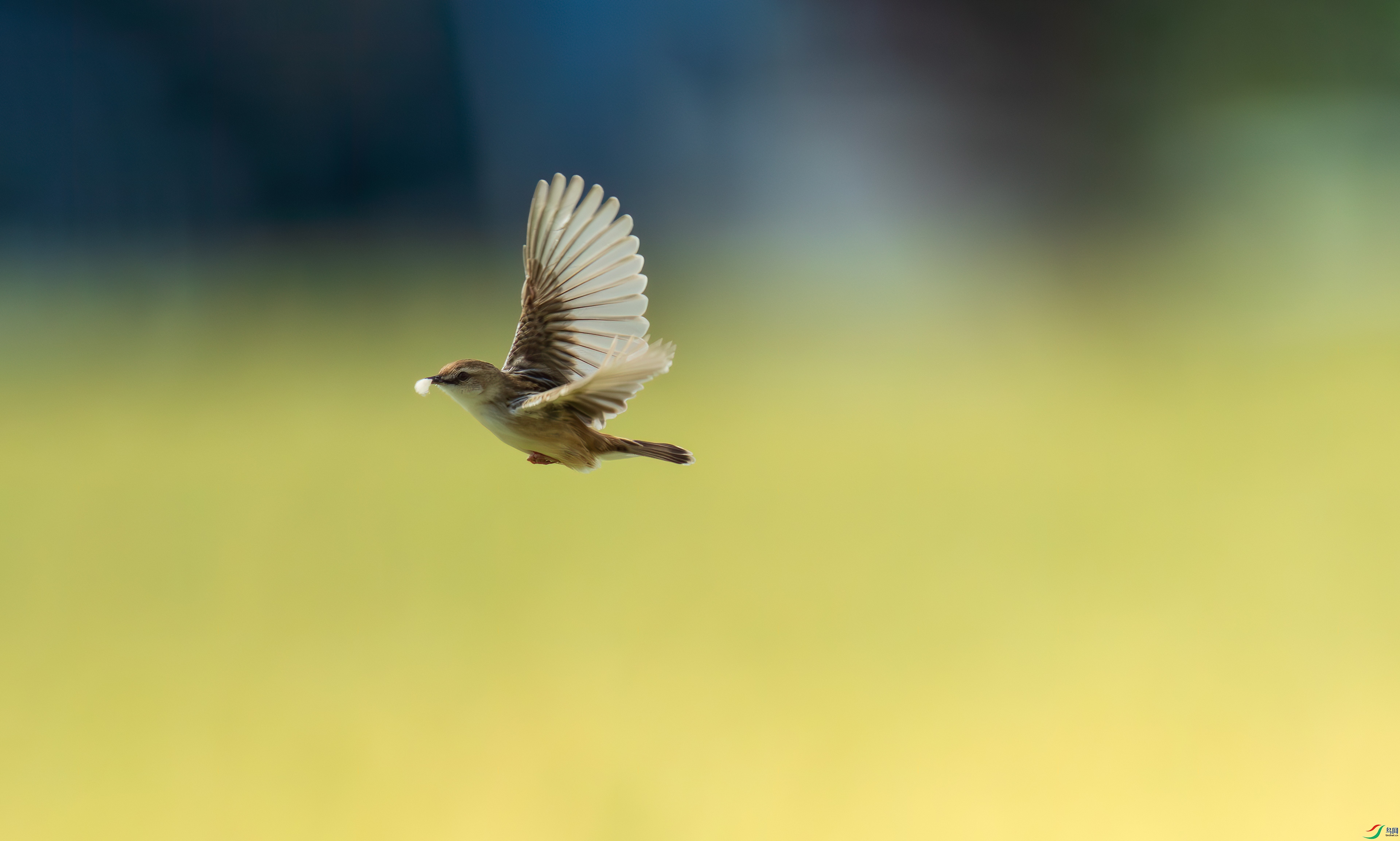 DSC_1734.jpg