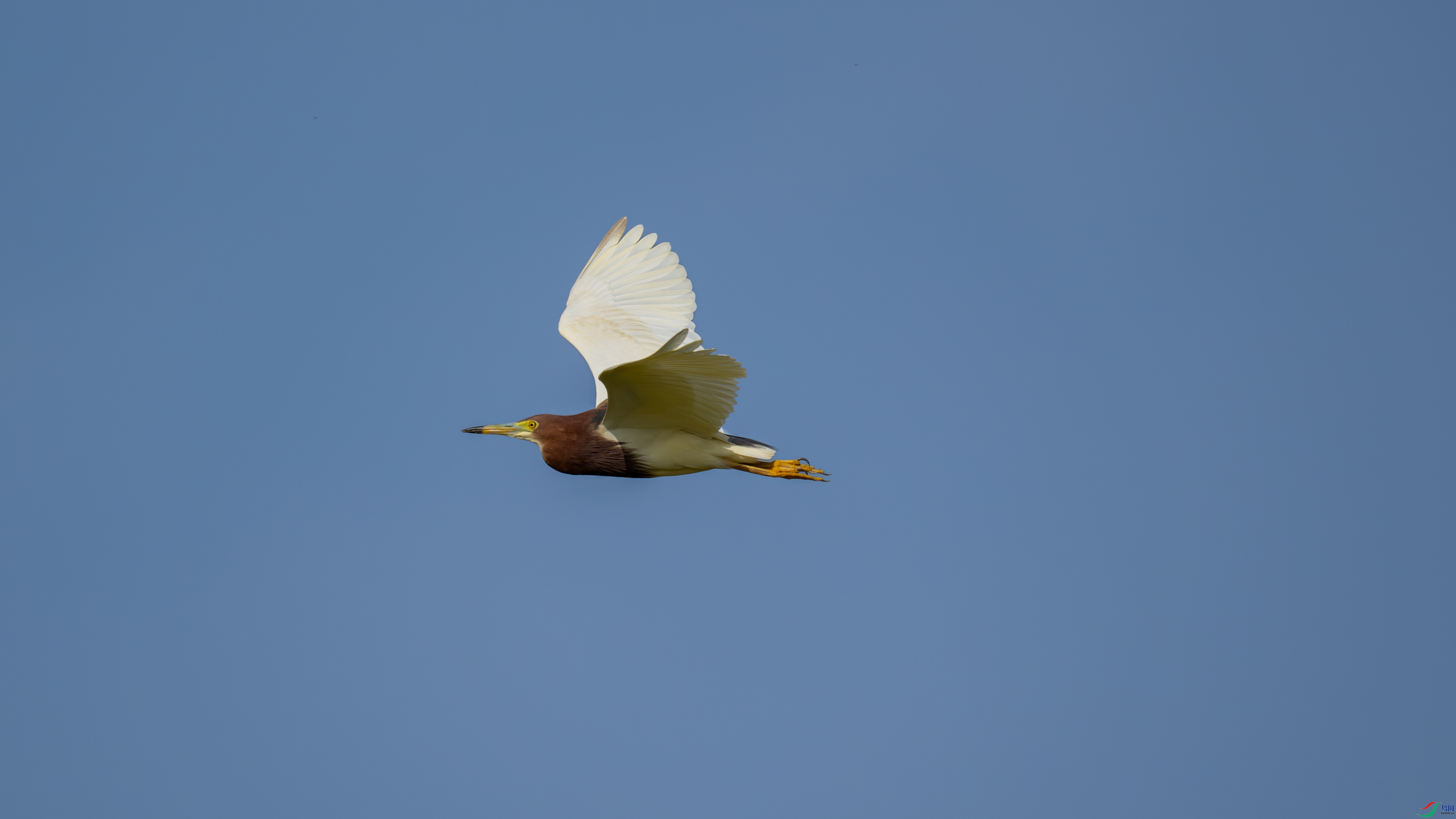 DSC_0593.jpg