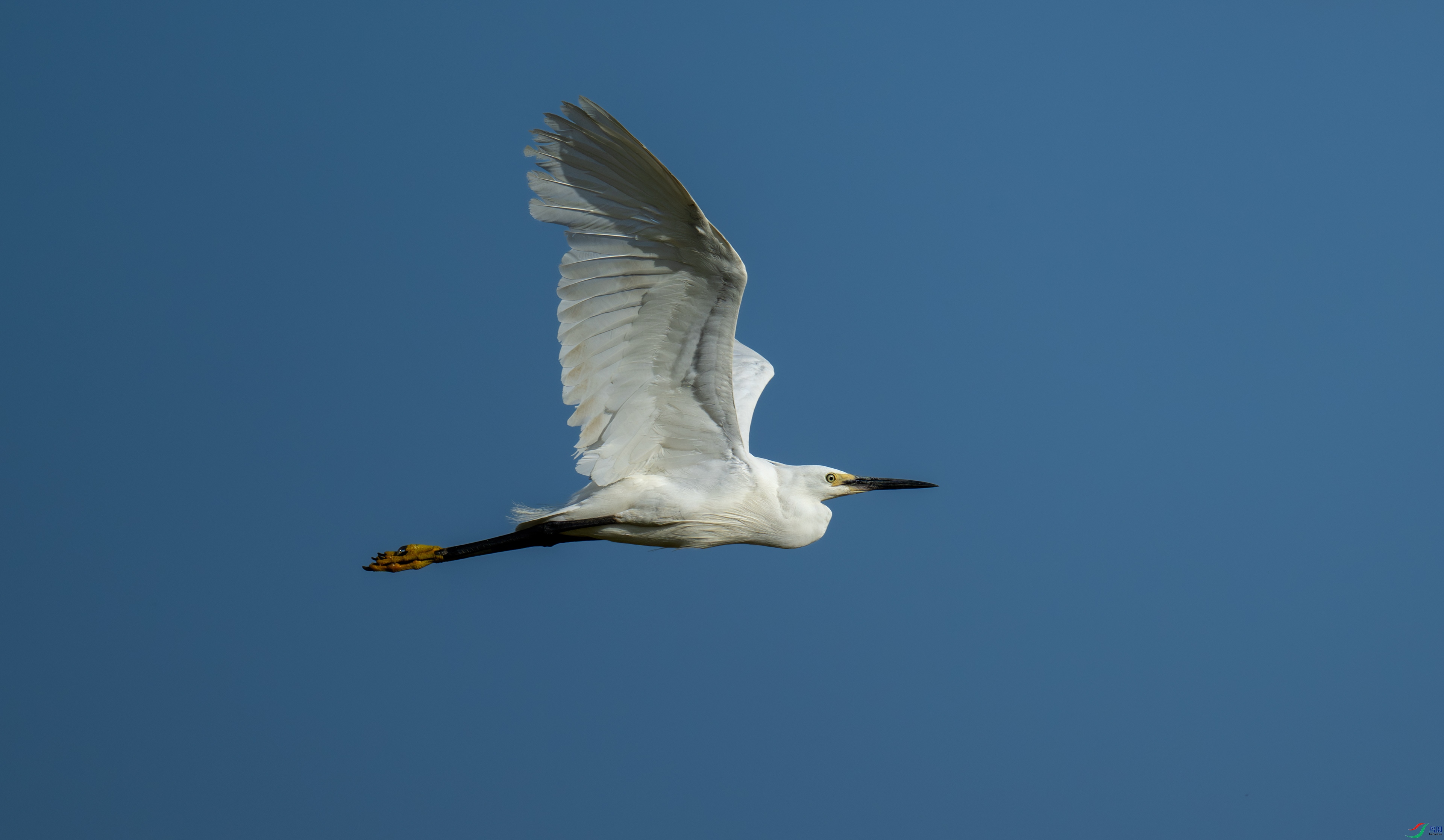 DSC_2570.jpg