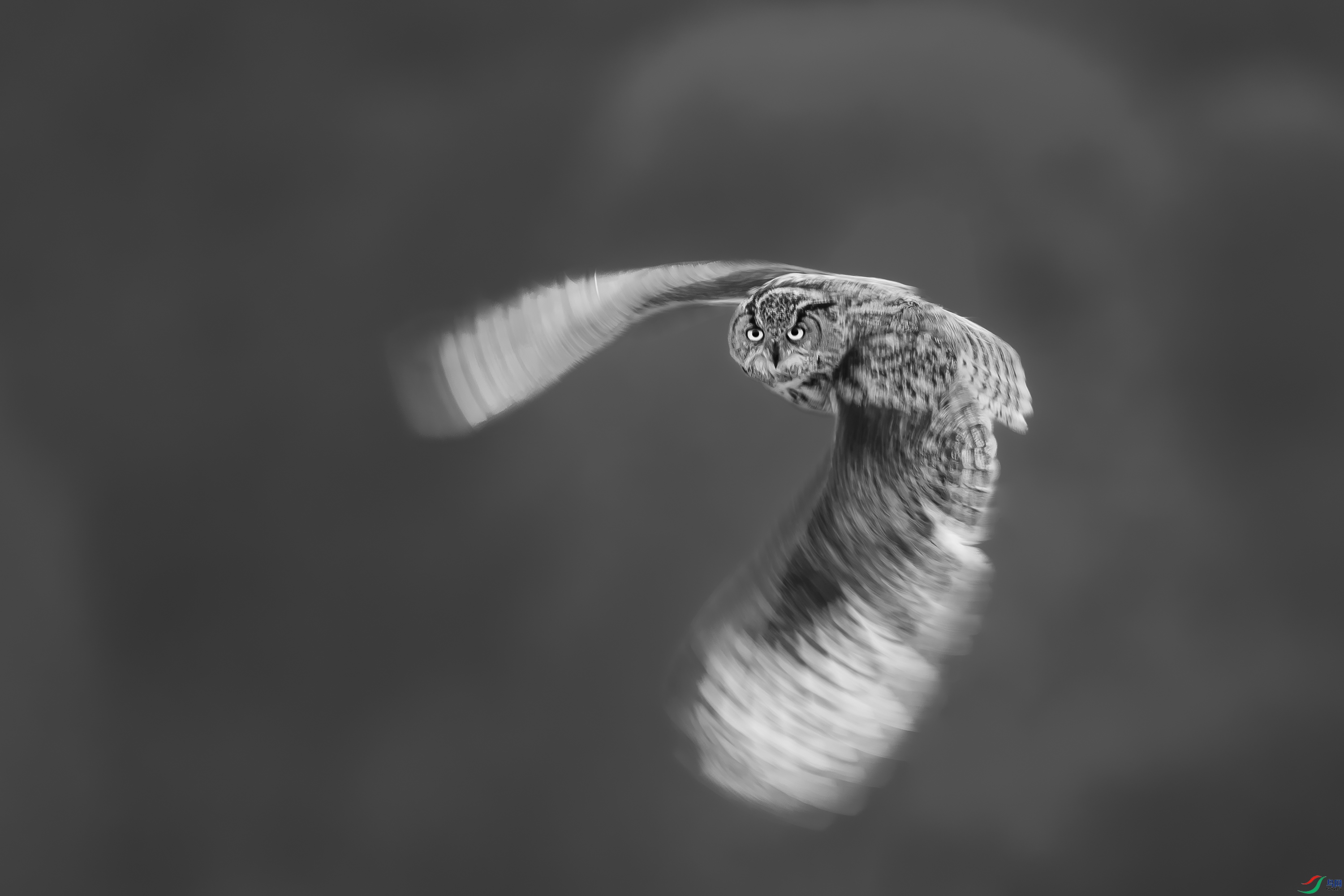 SC8655.jpg