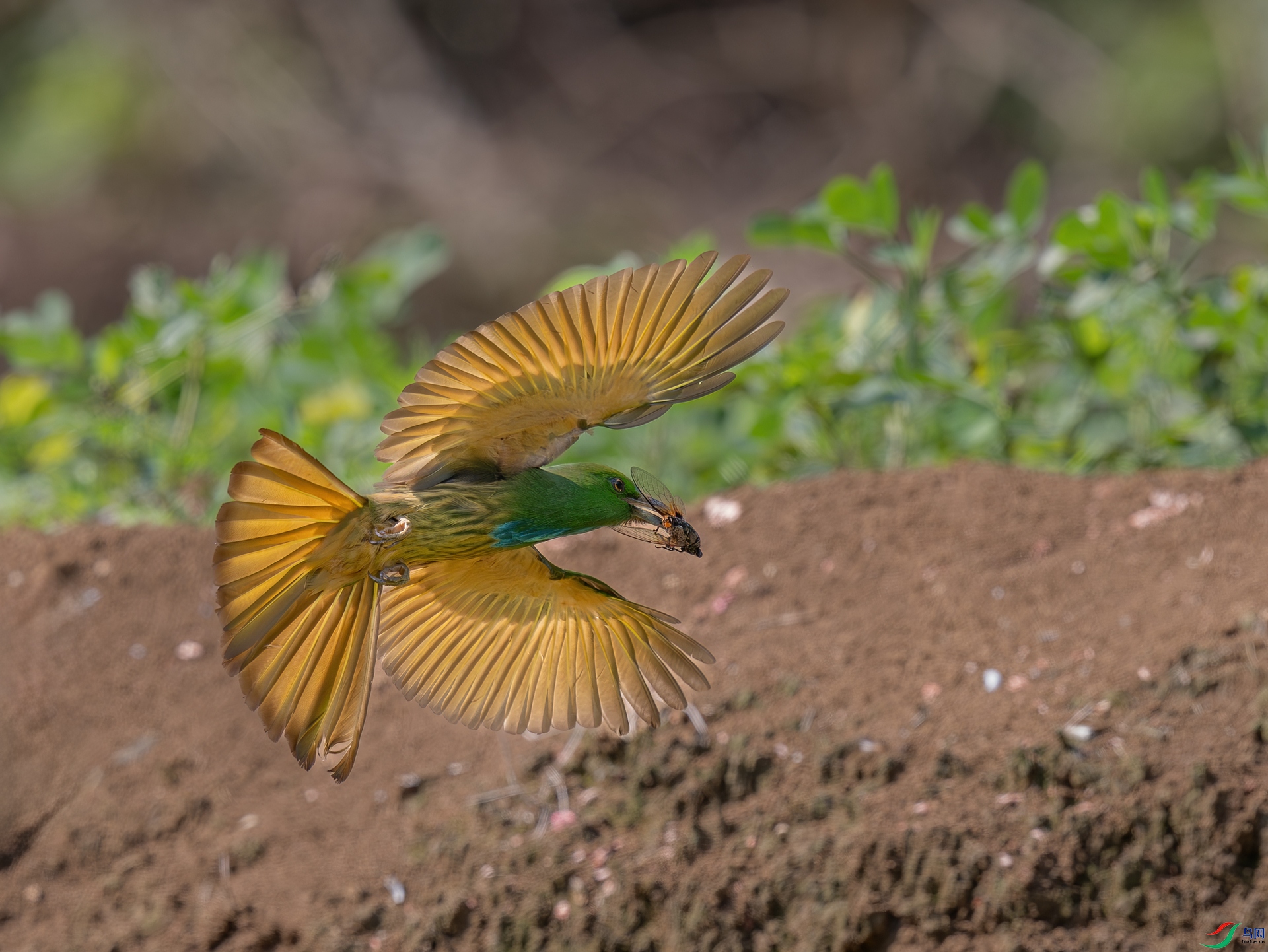 DSC_4480.jpg