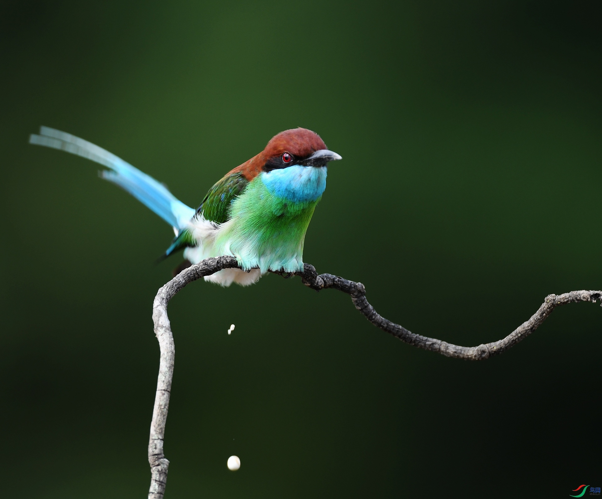 DSC_1509.jpg