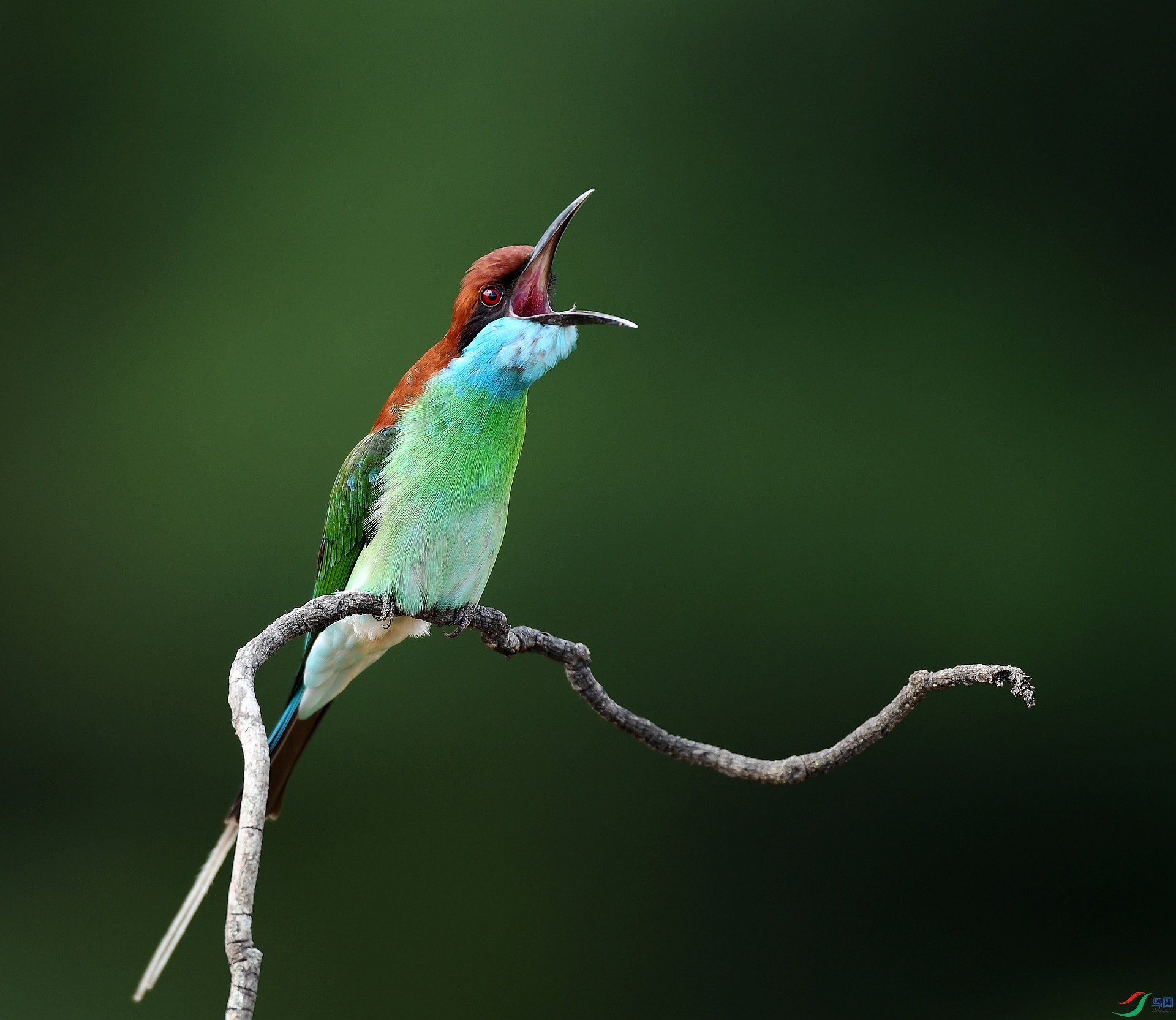 DSC_1459.jpg