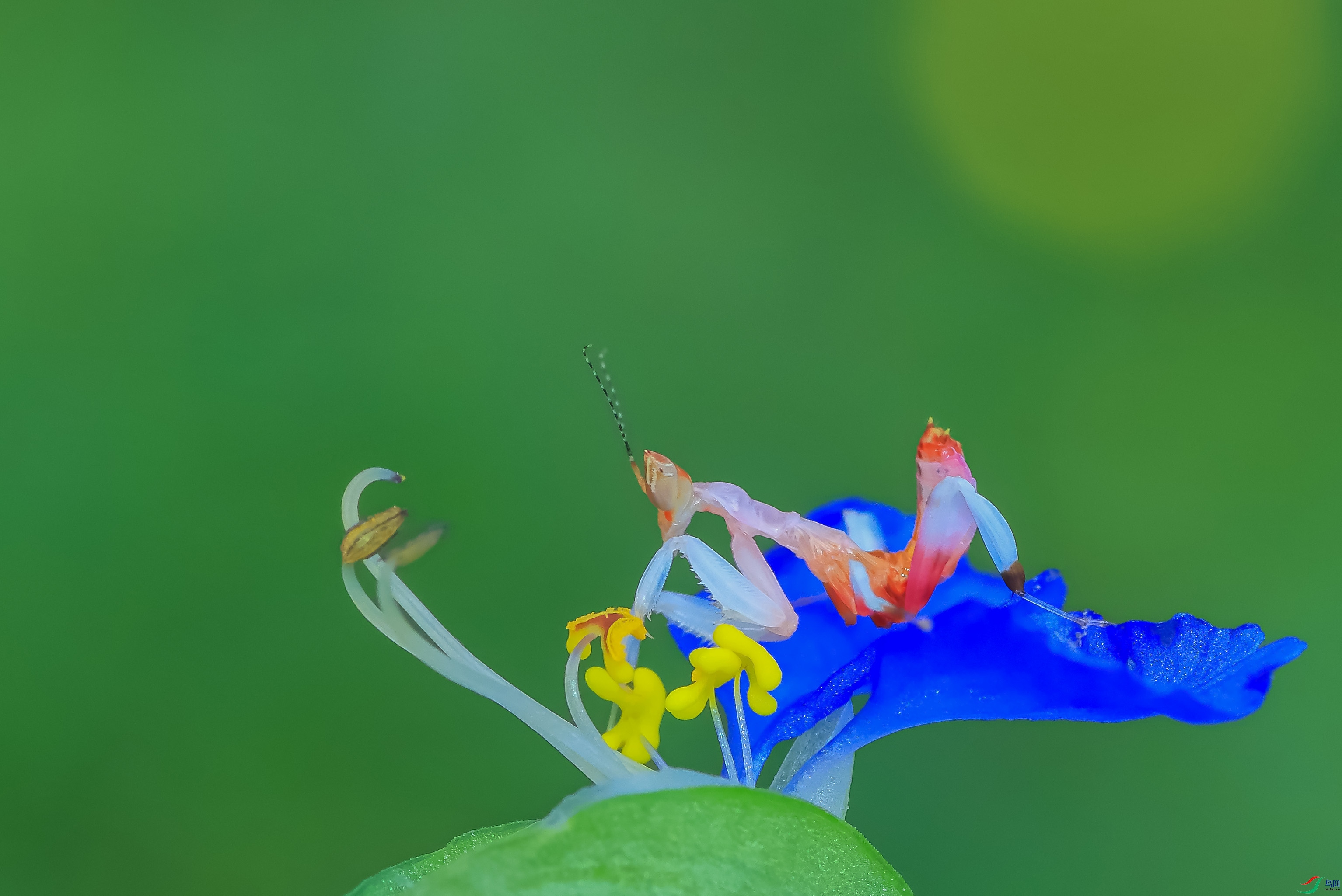 7T8A0371 ���� 2.jpg