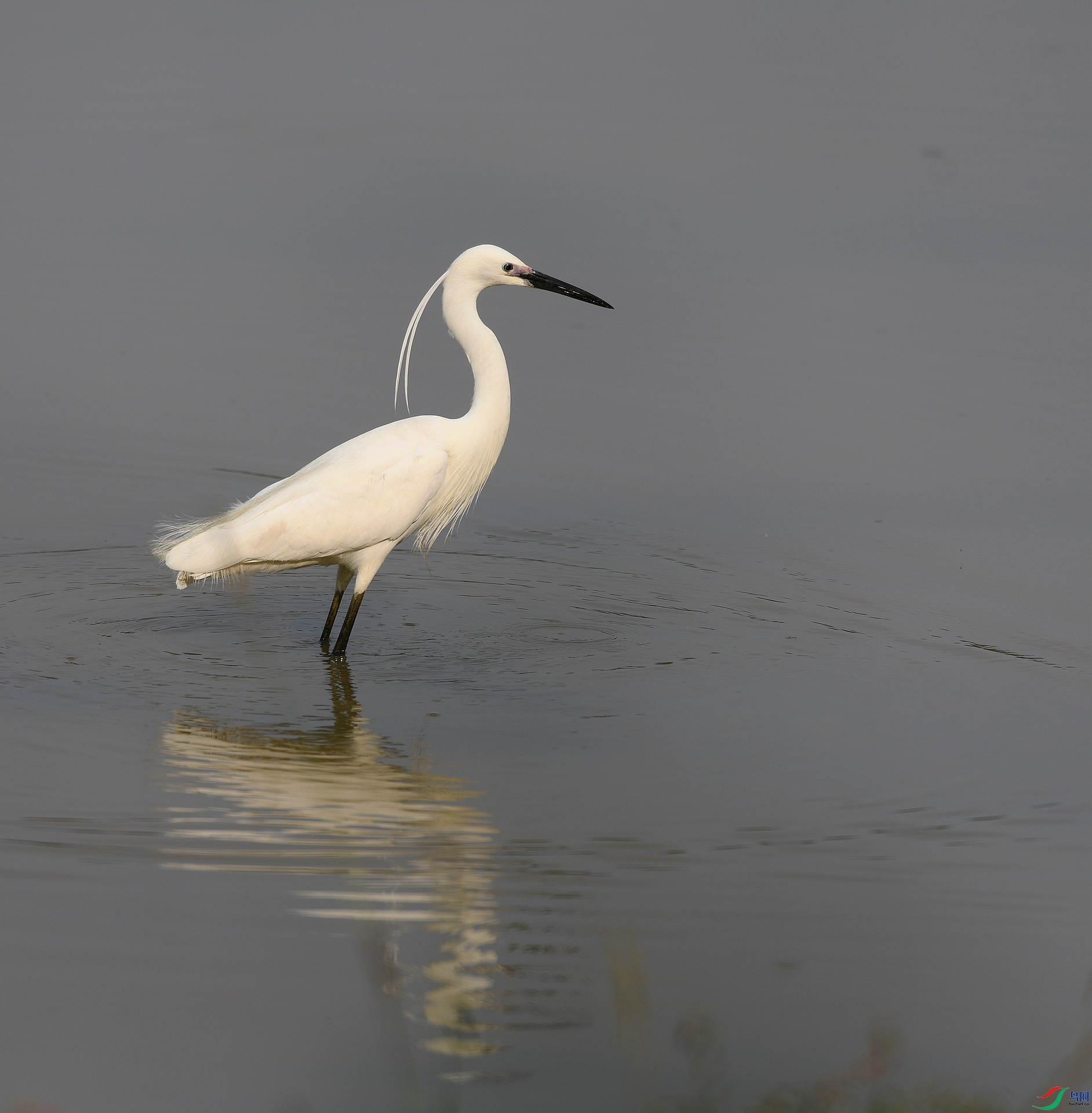 DSC_8315.jpg