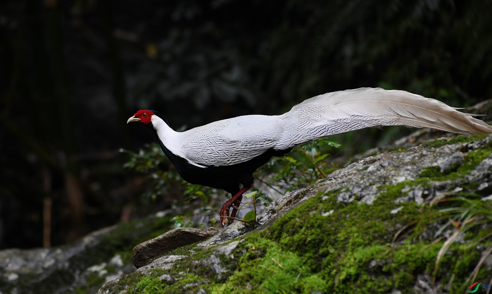 DSC_8669.jpg