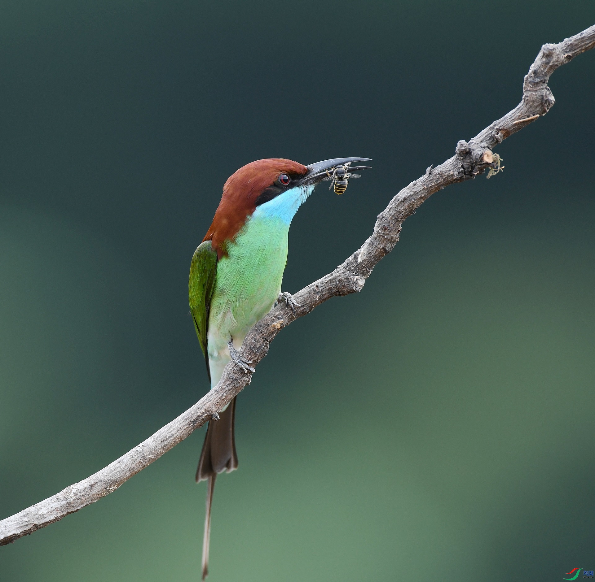 DSC_6977.jpg
