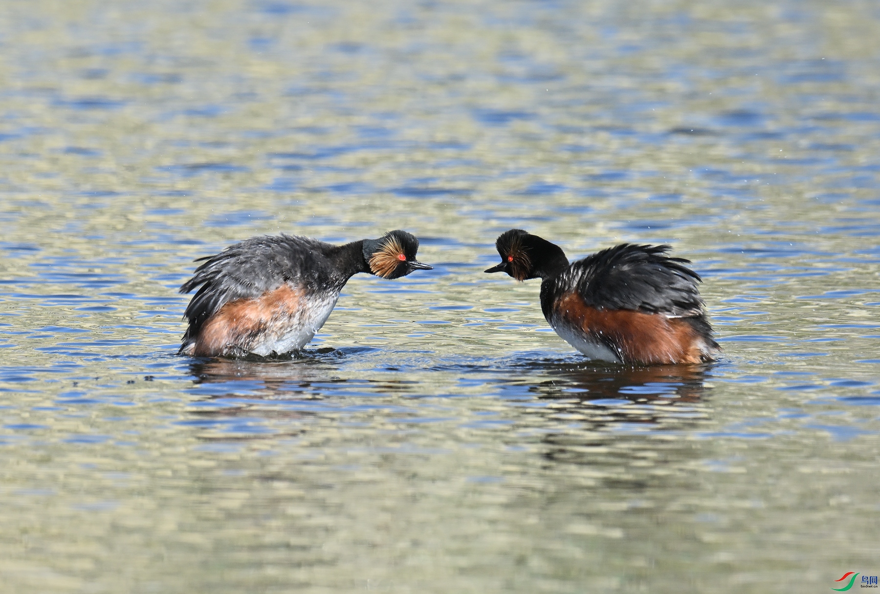 DSC_8634.JPG