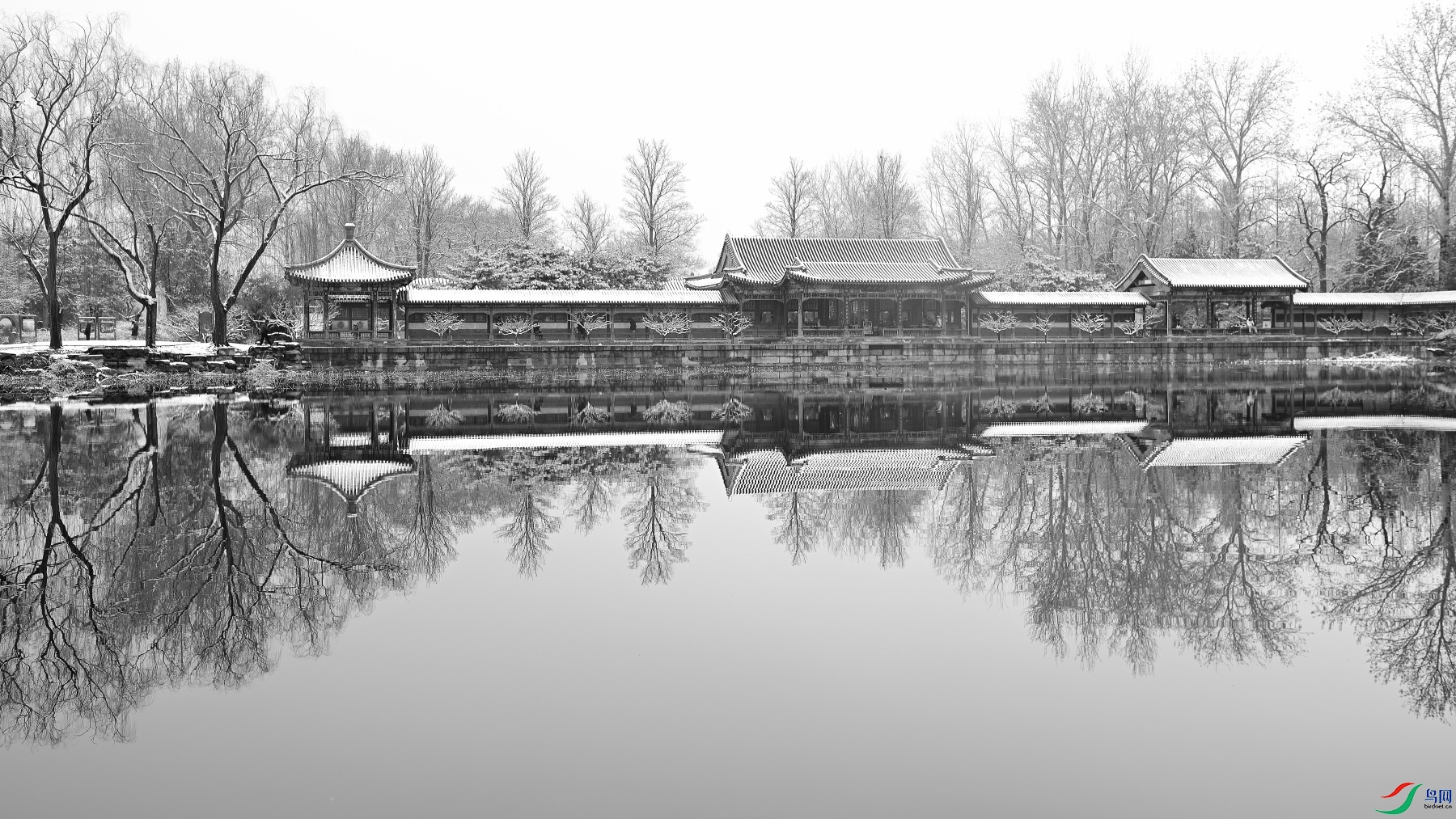 DSC_4815.JPG