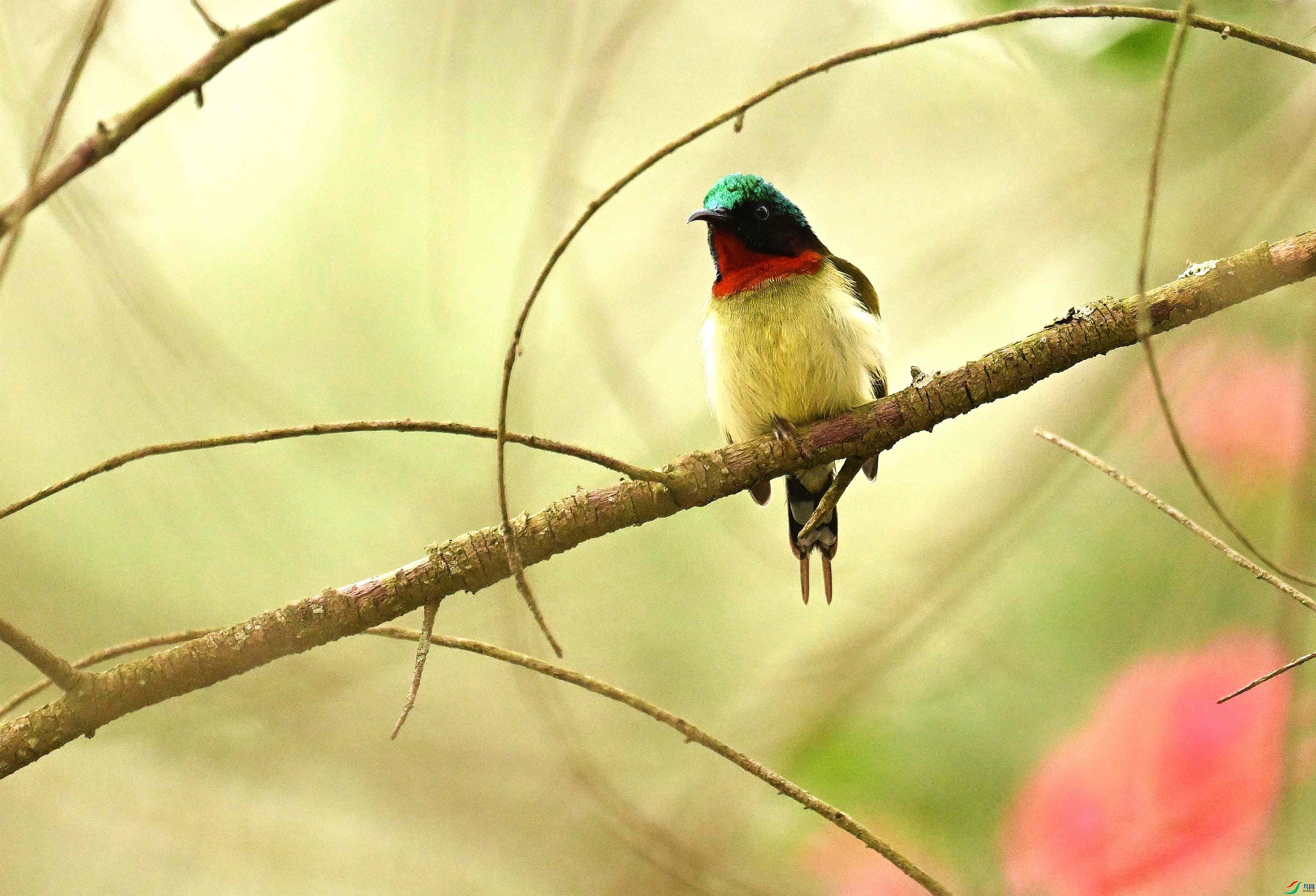 DSC_6114.jpg