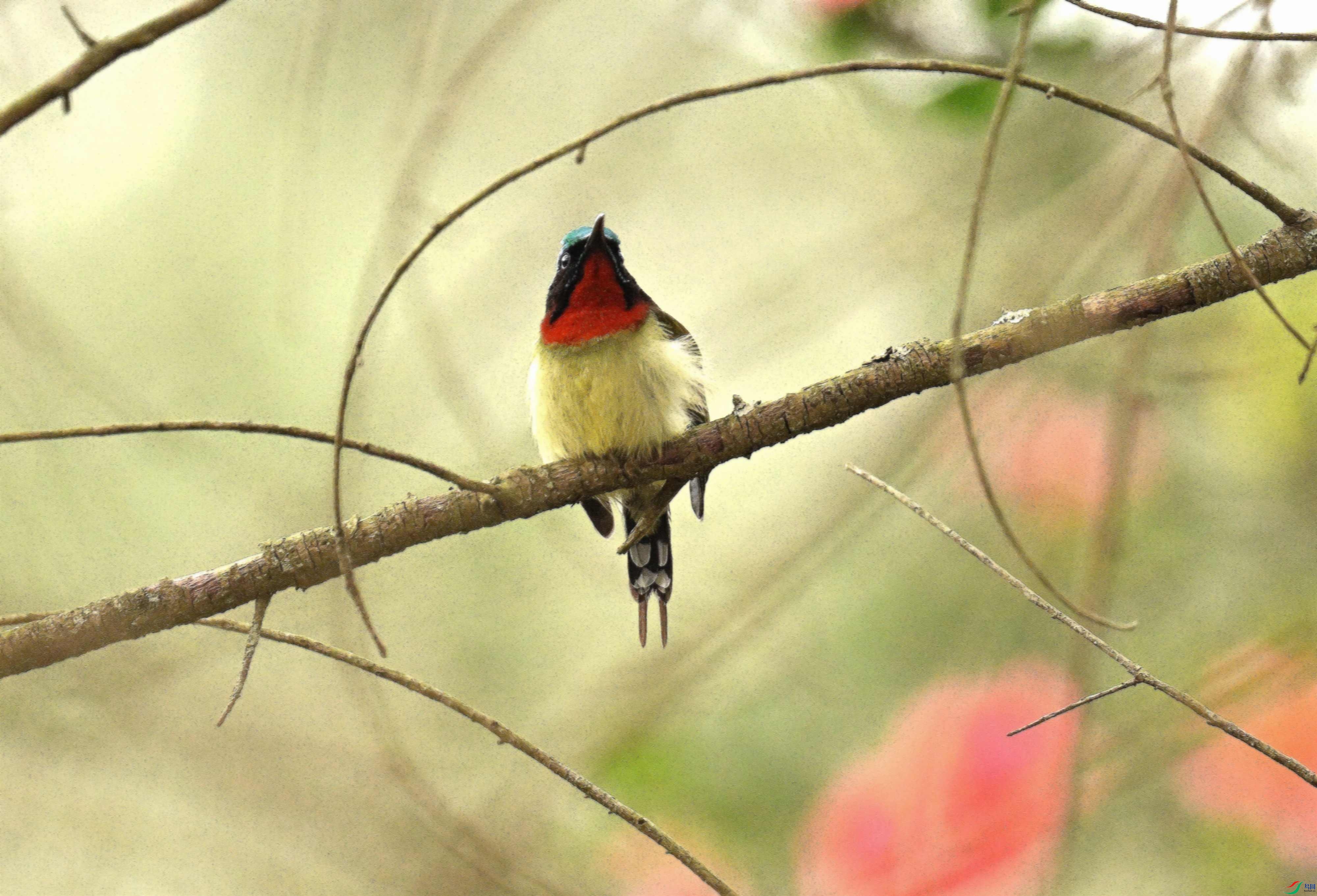 DSC_6212.jpg