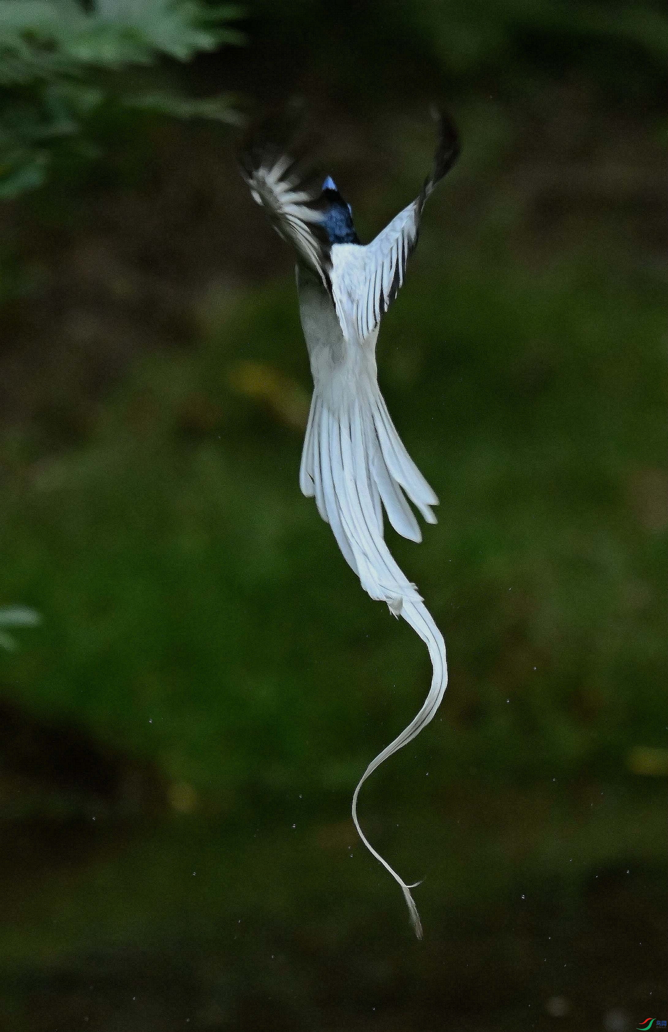 DSC_5792_����.jpg