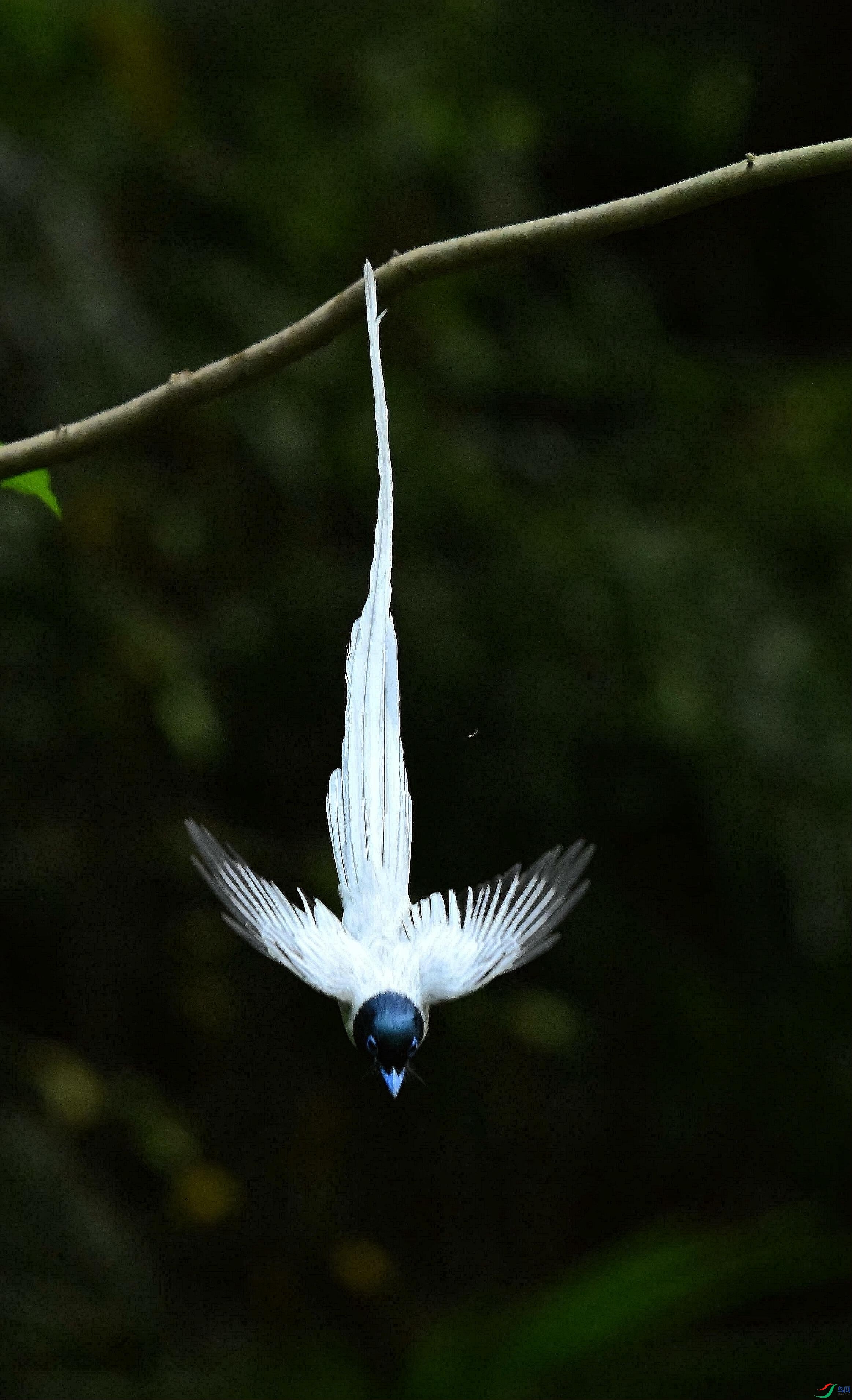 DSC_5979_����.jpg
