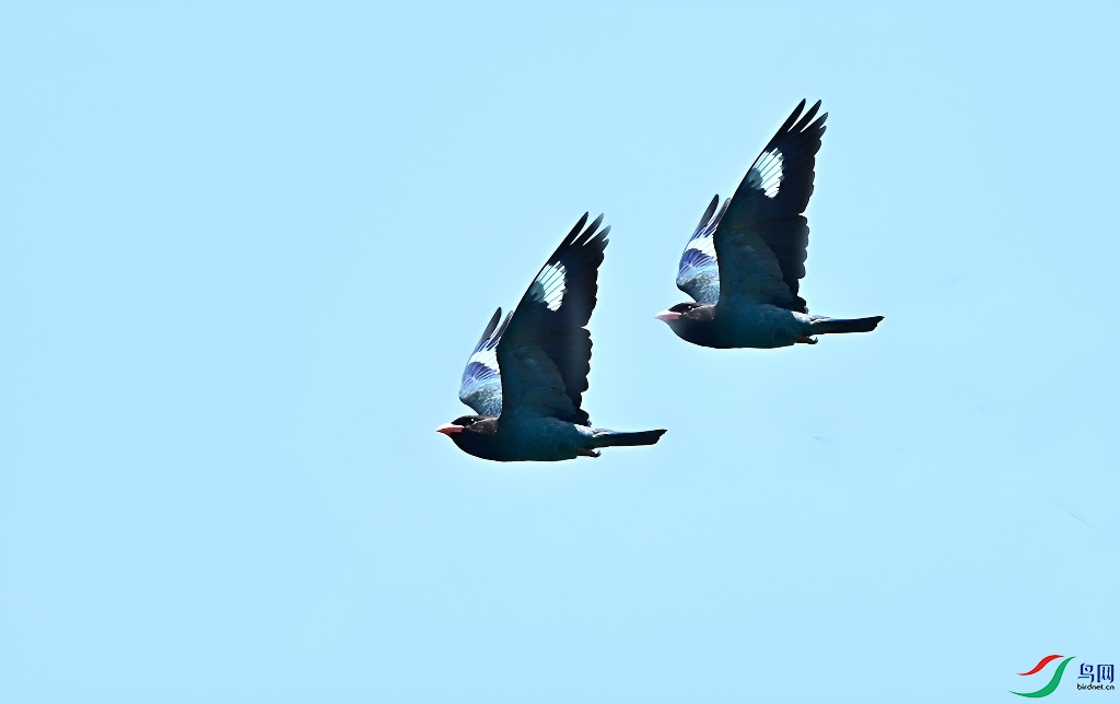 DSC_0003.JPG