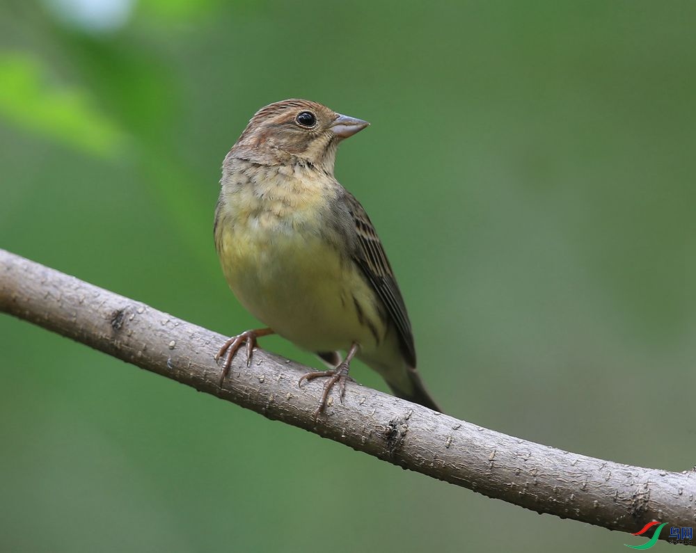 D72T7142.JPG