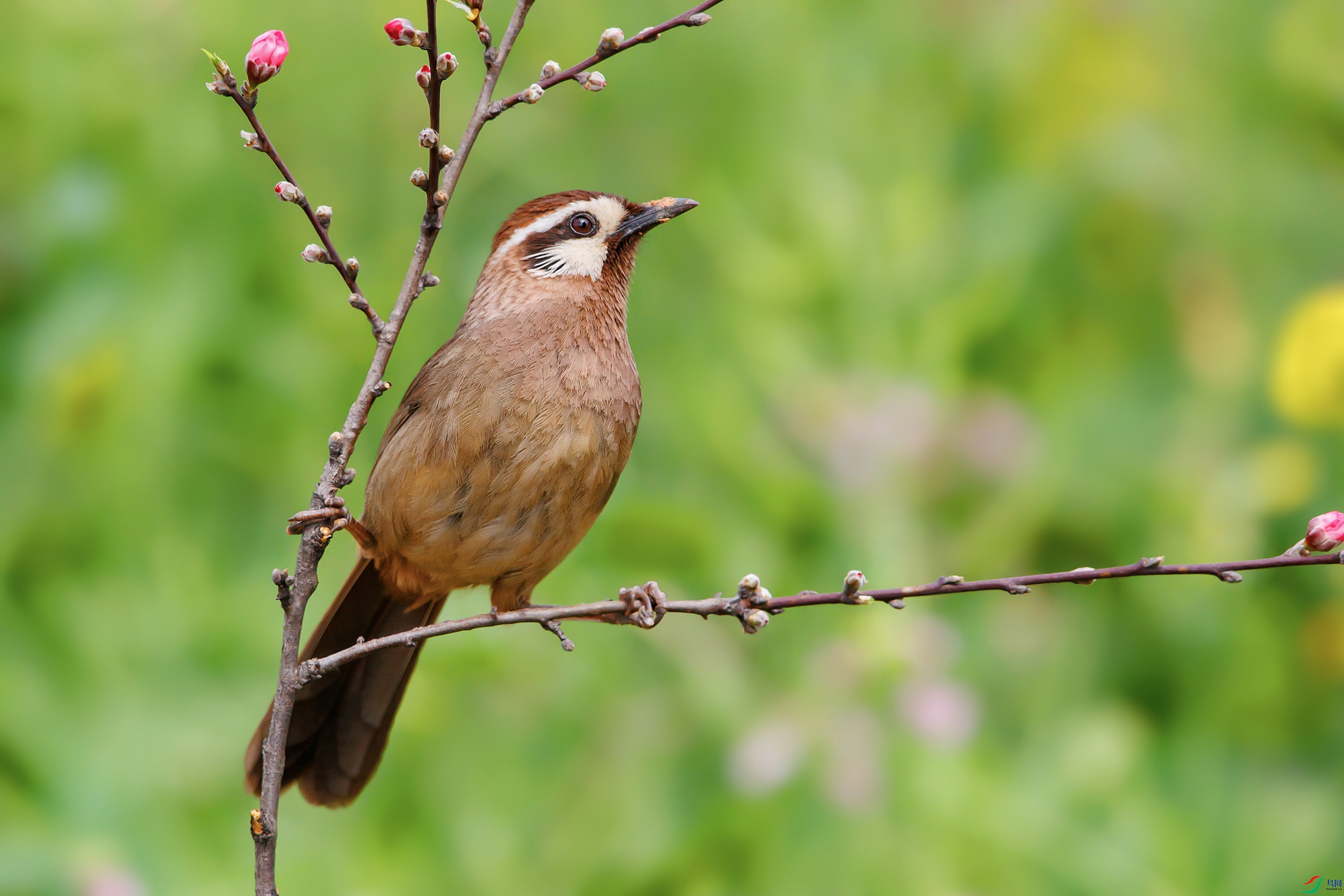 AB1I1042.jpg