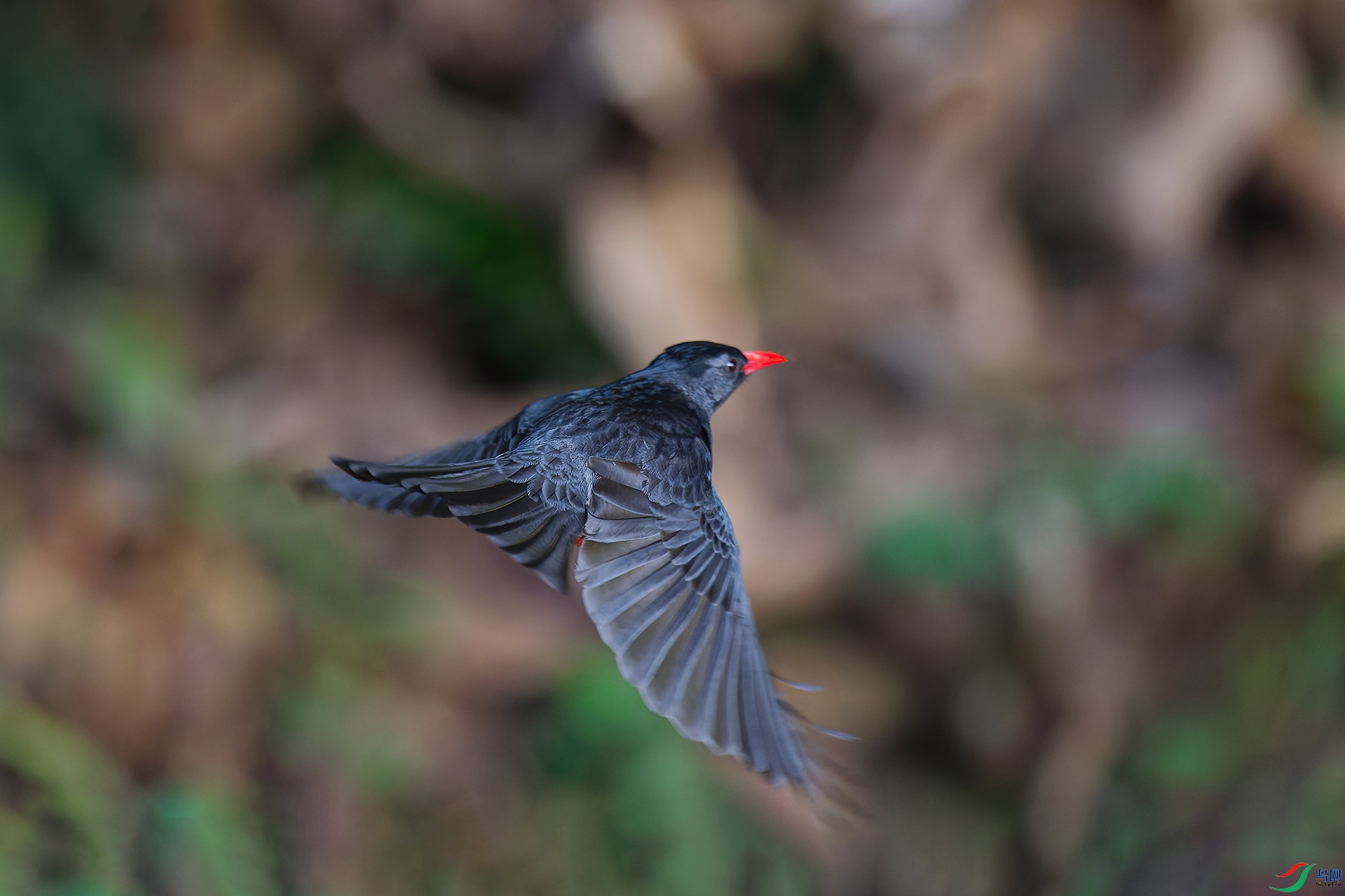 3DSC_1672_DxO_DxOa.jpg