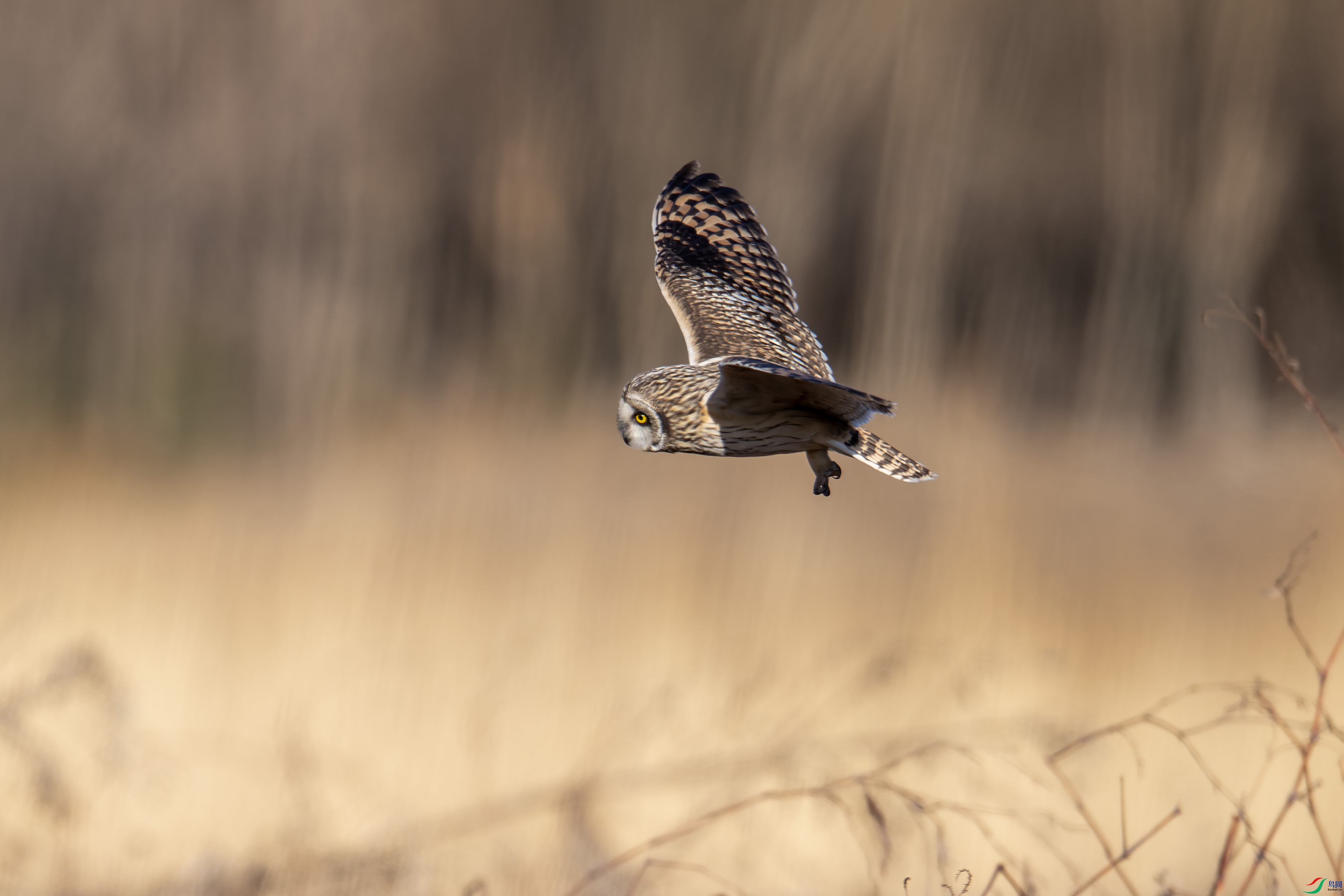 DSC_5627-����.jpg