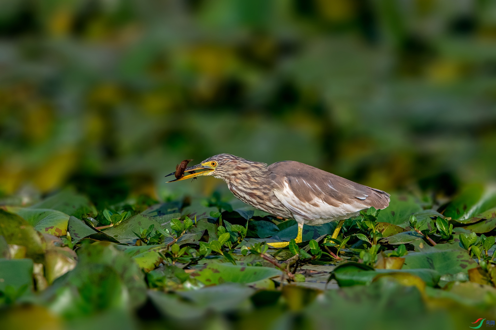 _AUU9439 ����(26.3.21).jpg