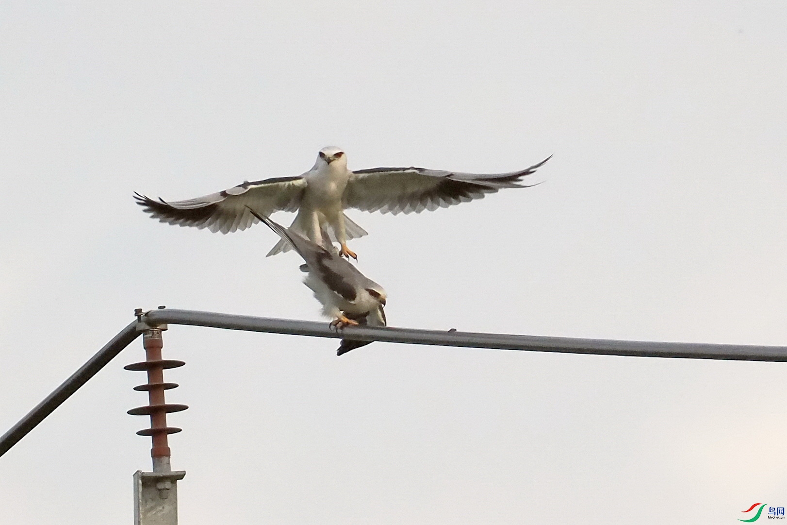 P5160276_����.jpg