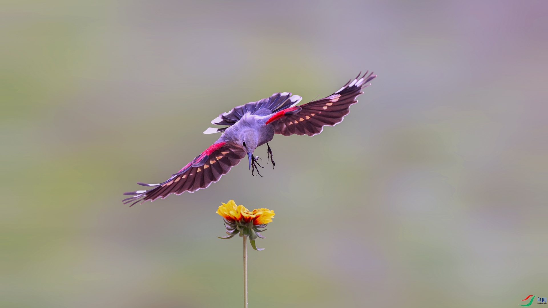 DSC_5676-1-�ָ���.jpg