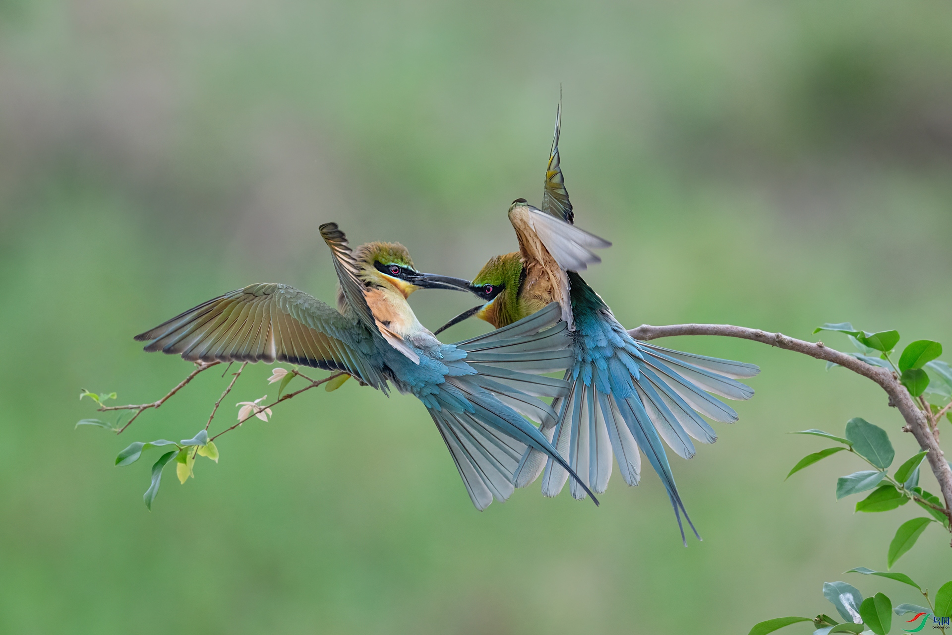 DSC_3047.jpg