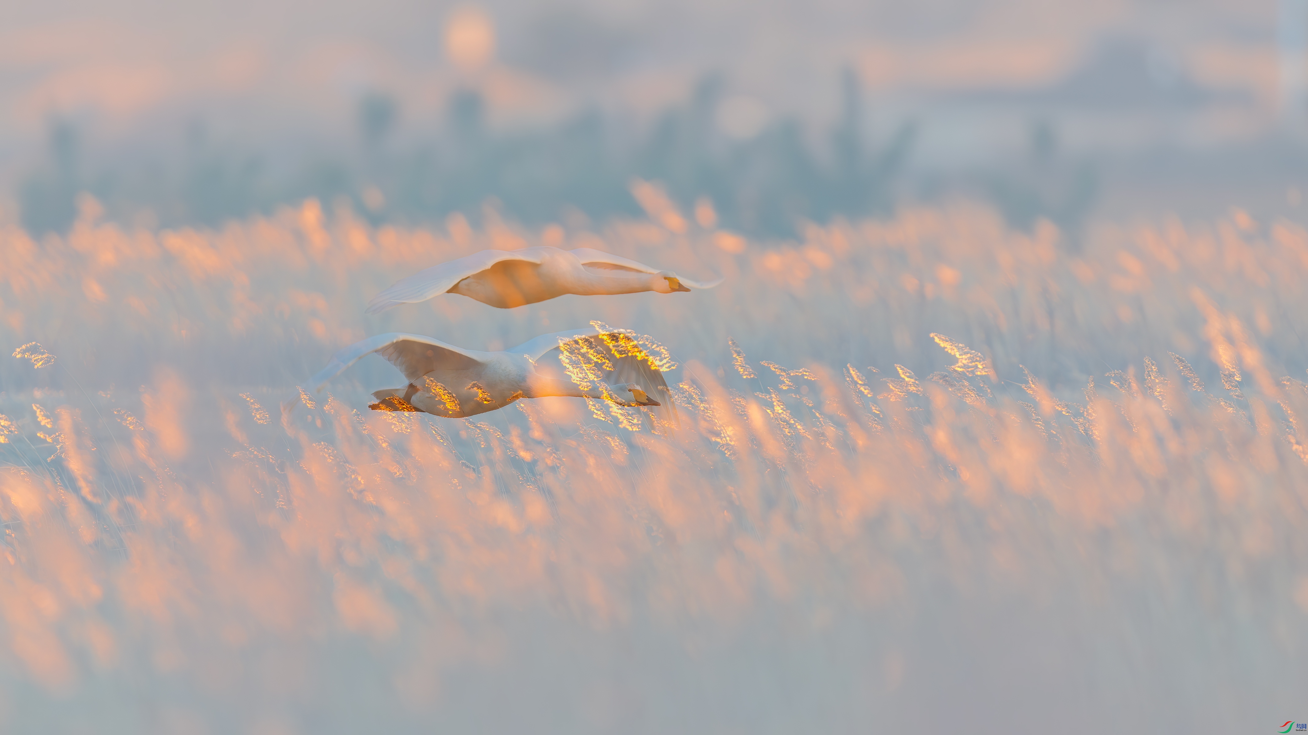 _30V4671-1.jpg