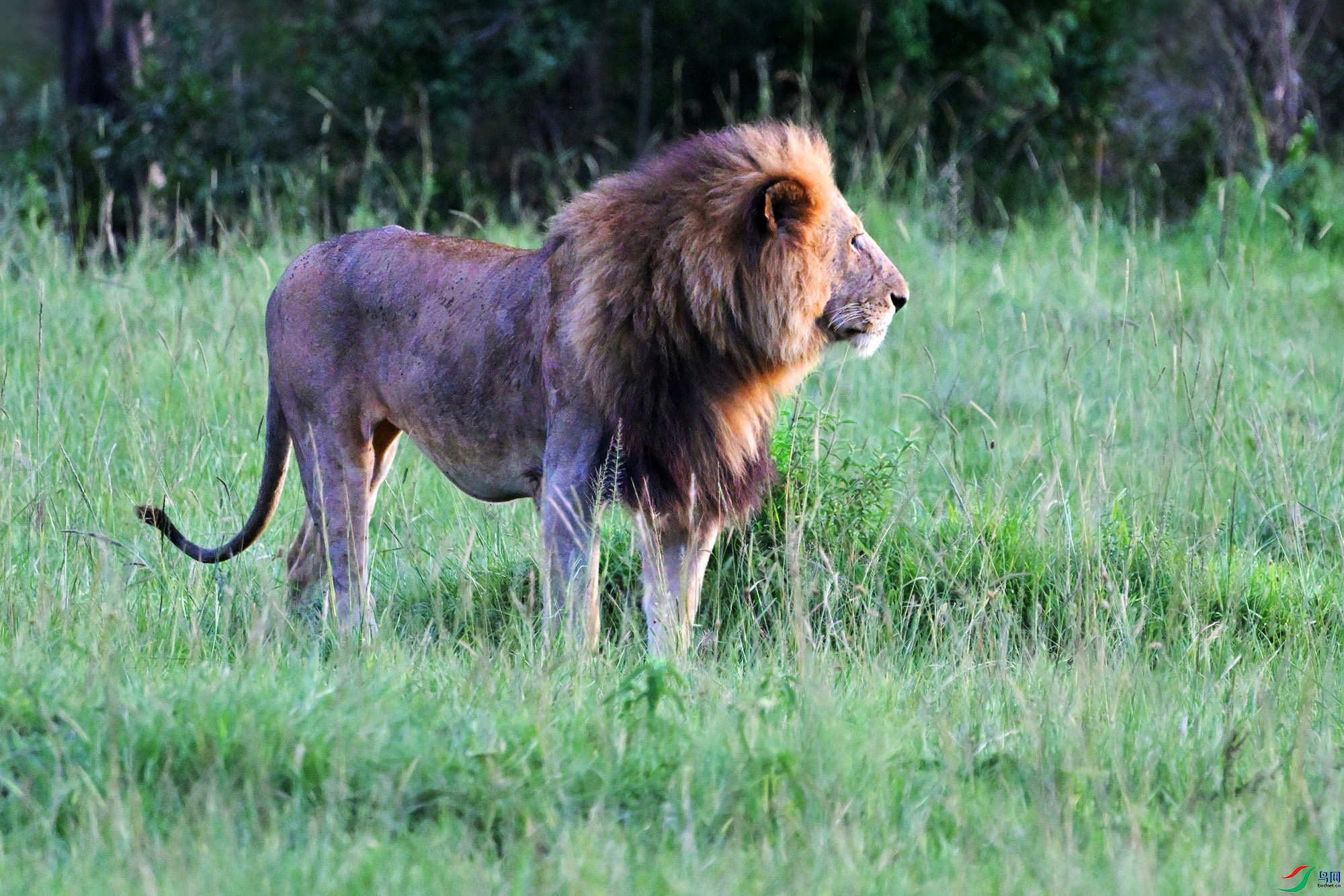 DSC_3762_.jpg