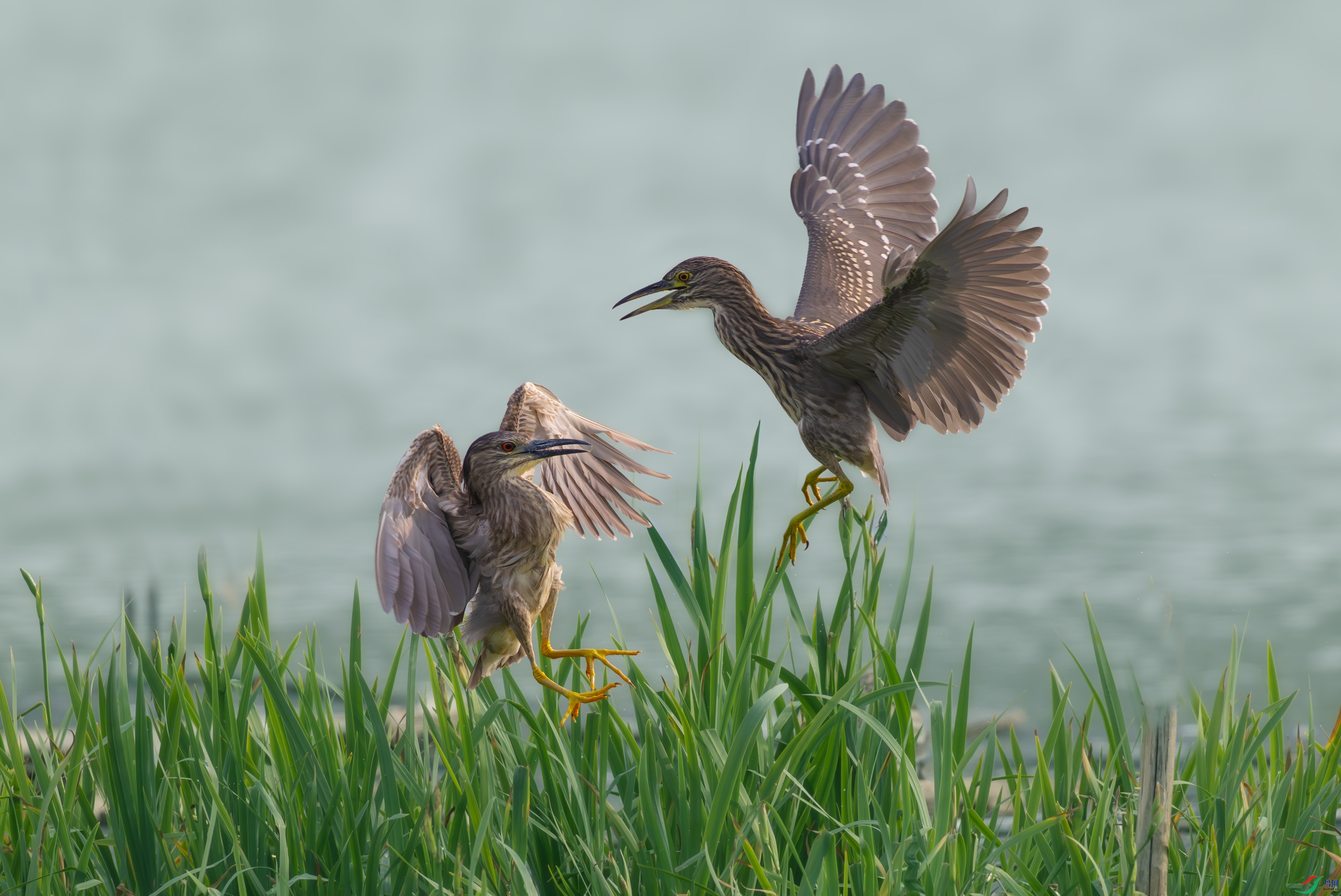 ͬ�Ҳٸ�.jpg