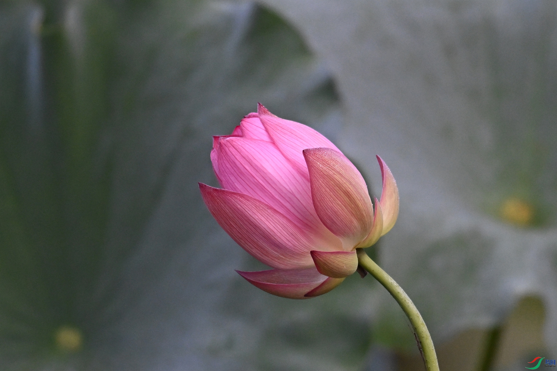 DSC_4034.JPG