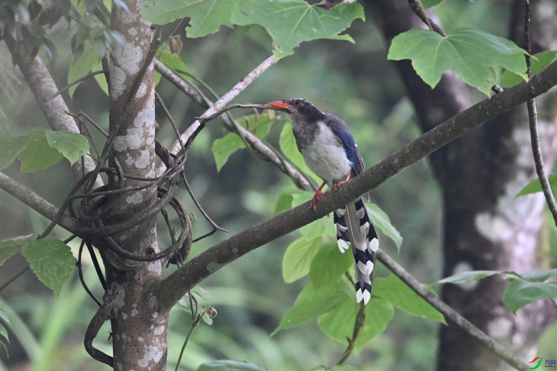 DSC_4075.JPG