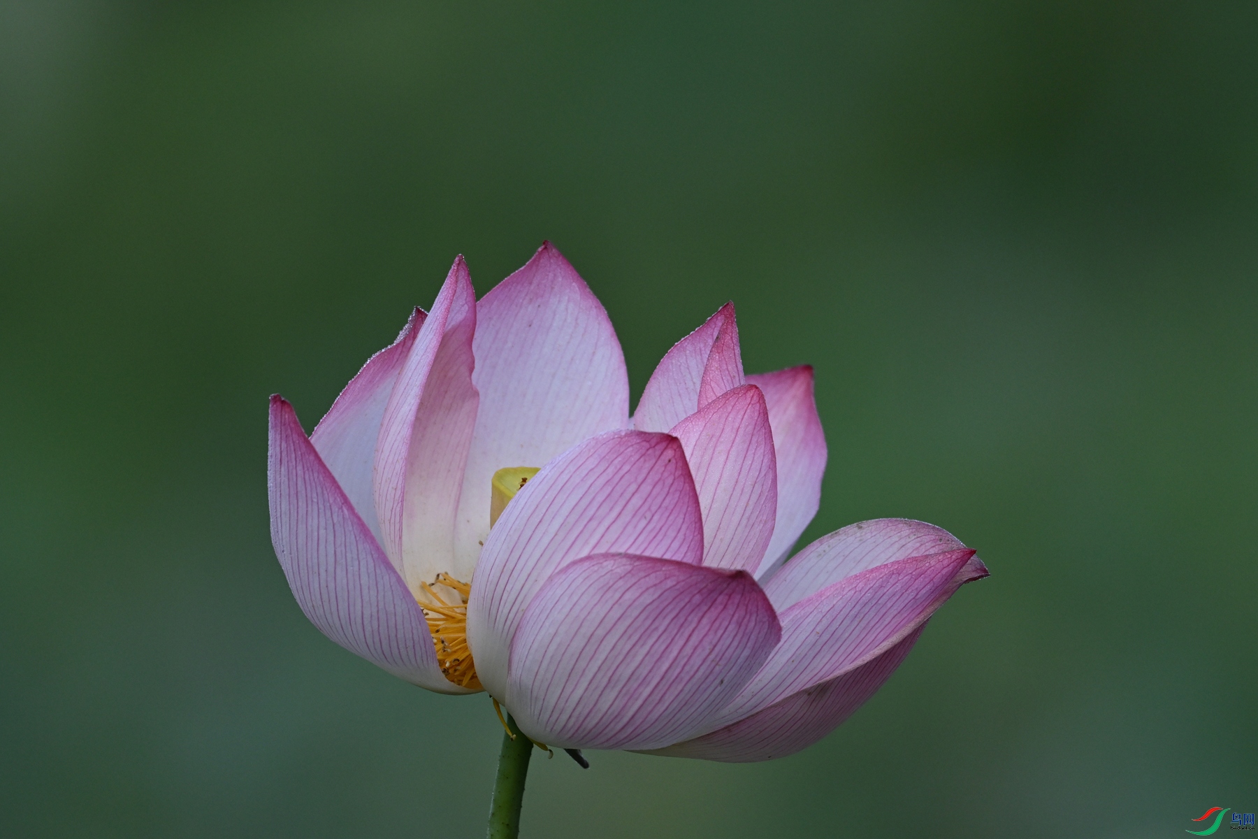 DSC_4045.JPG