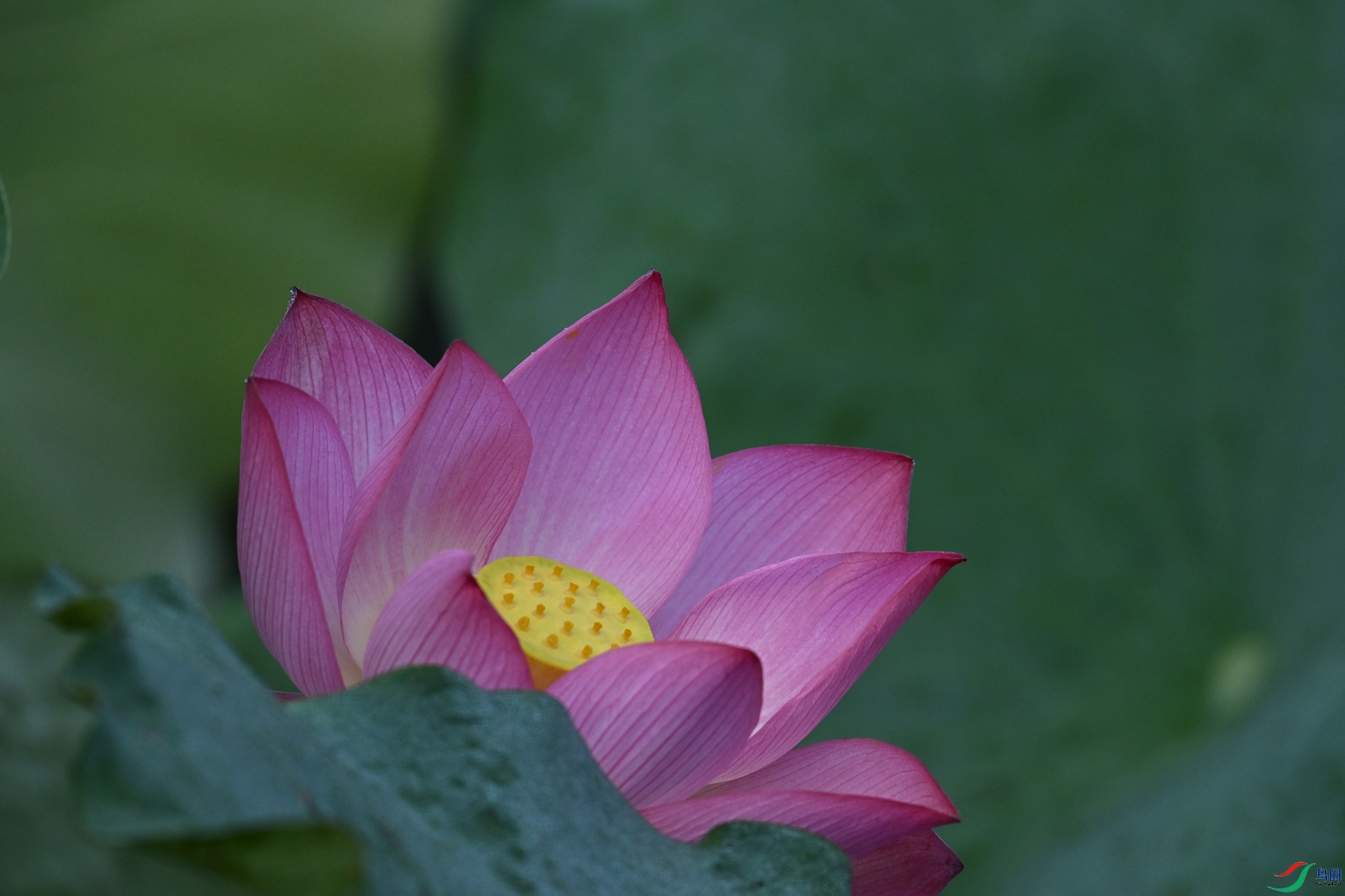 DSC_4048.JPG