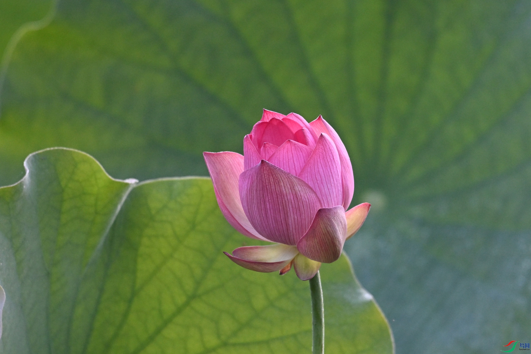 DSC_4042.JPG