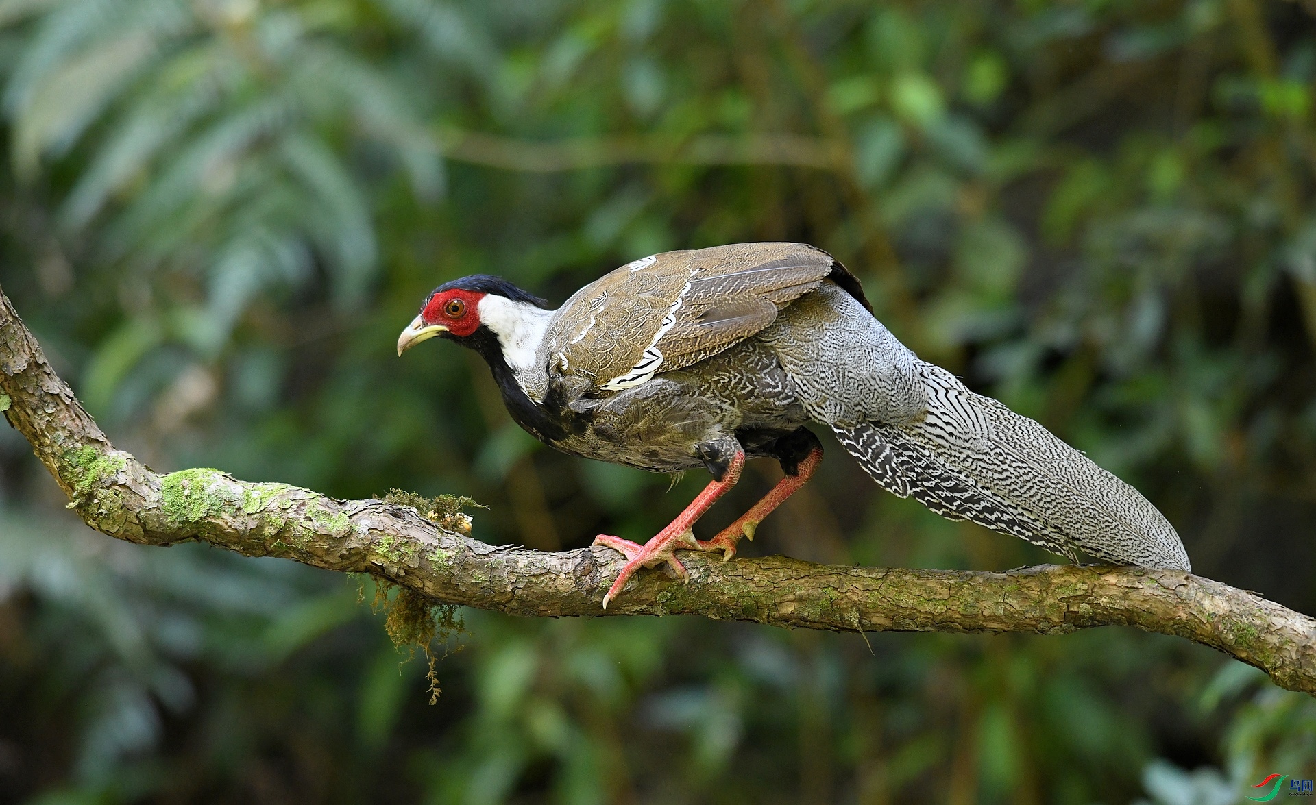 DSC_2627.jpg
