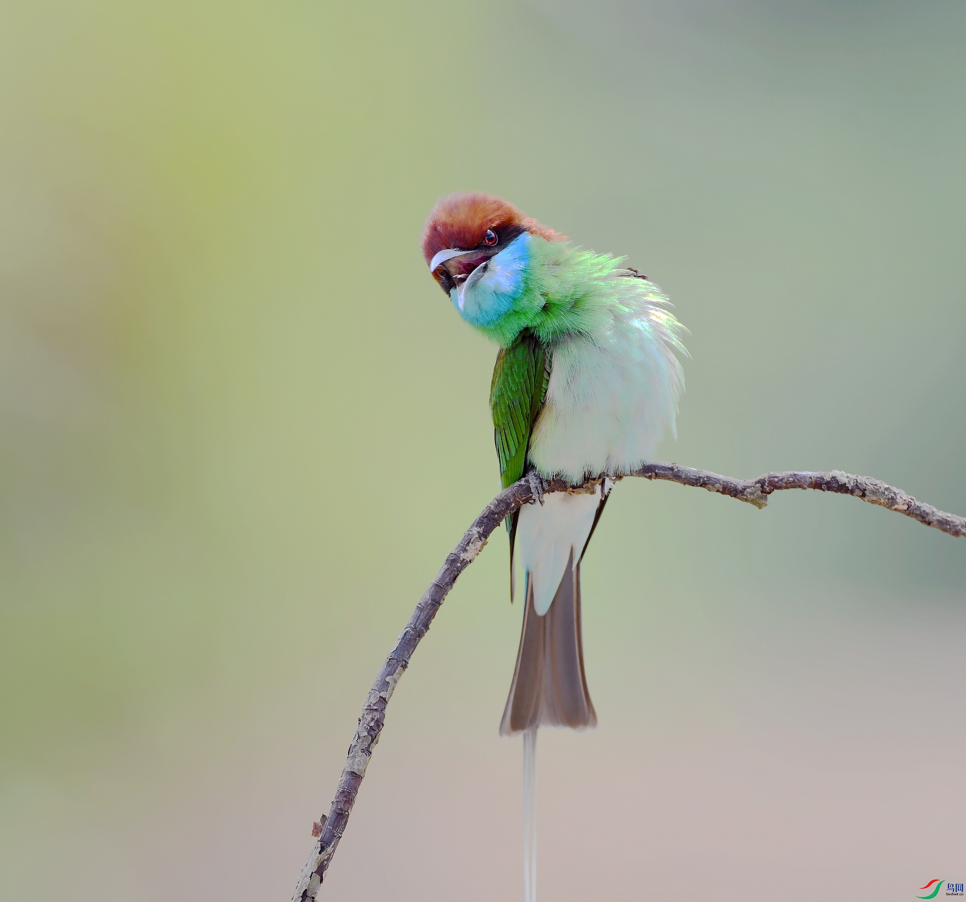 DSC_7683.jpg