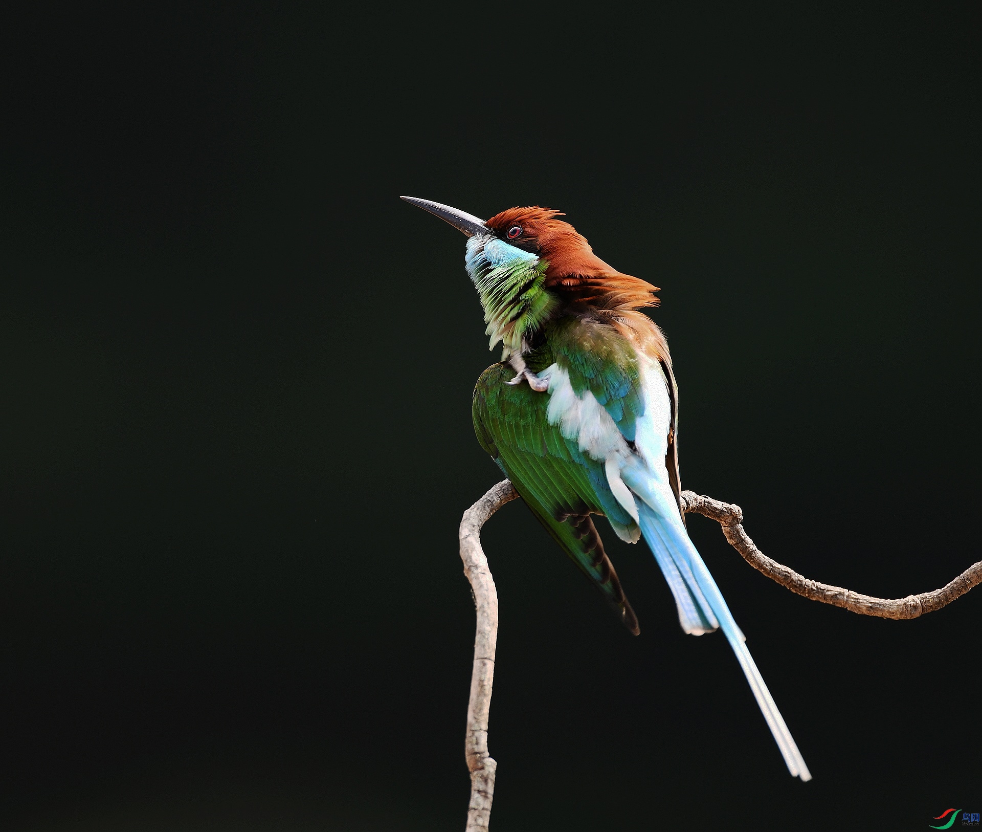 DSC_5432.jpg