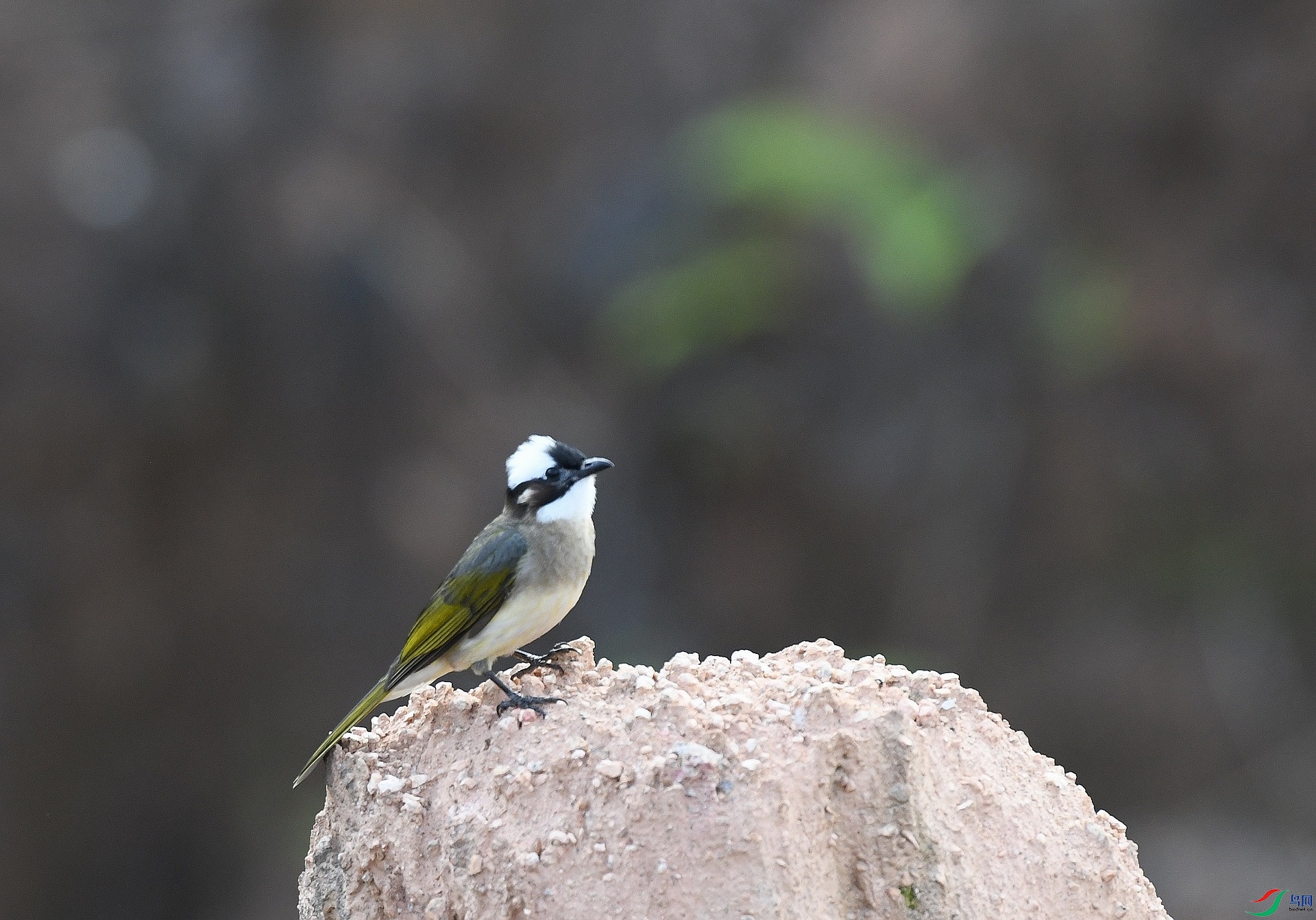 DSC_6267.jpg